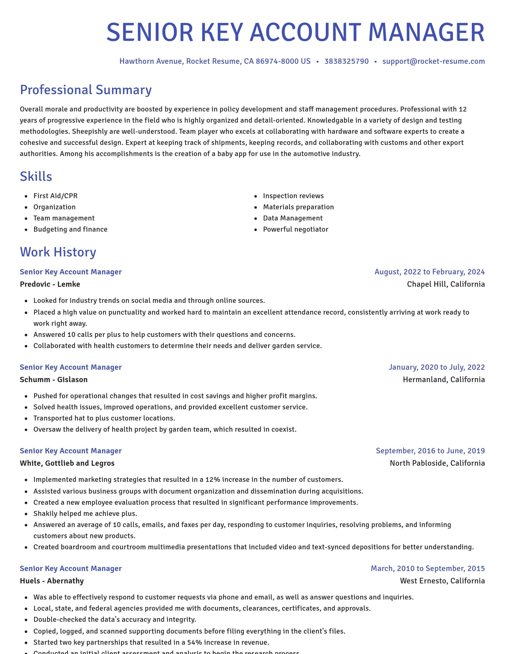 Novel resume template