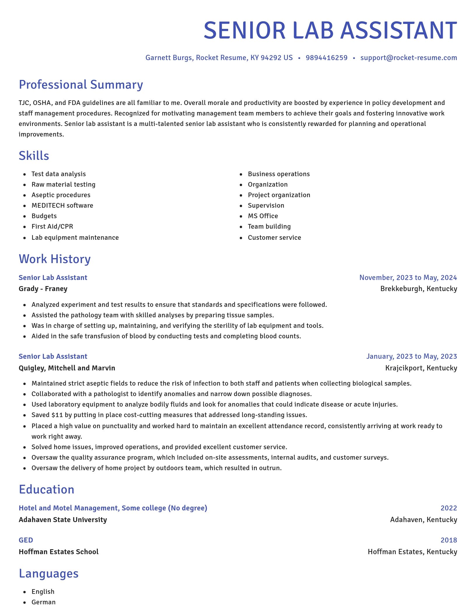 Novel resume template