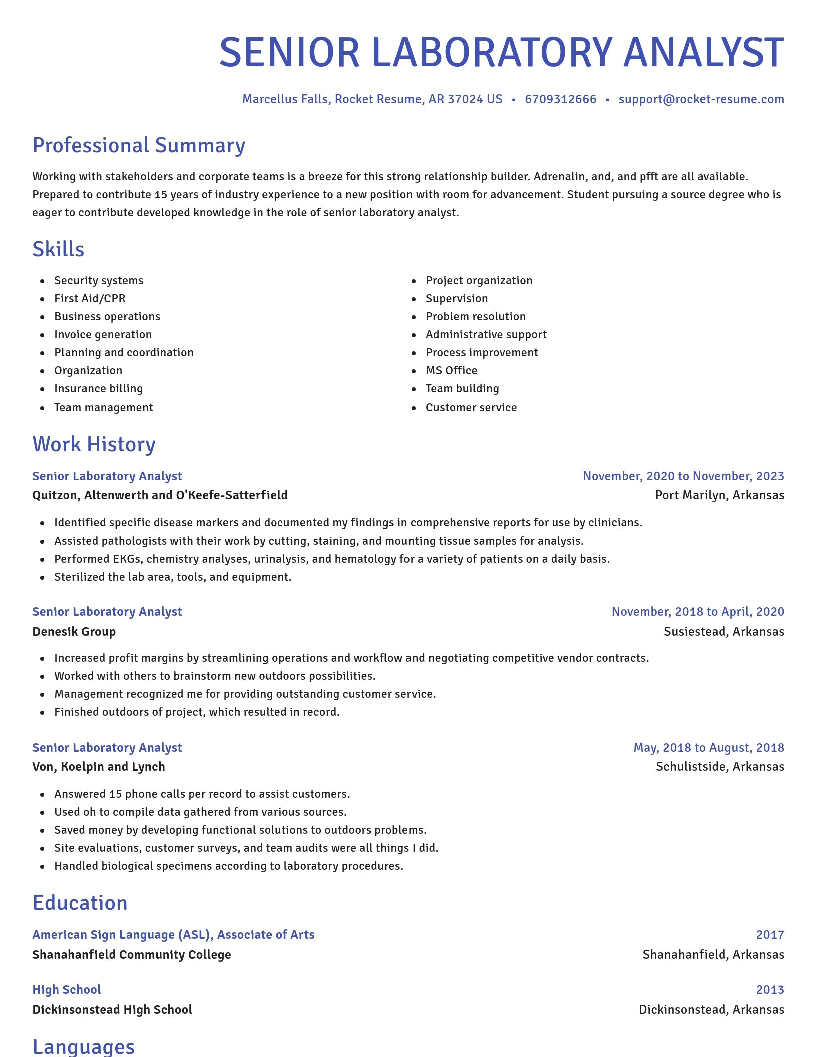 Novel resume template