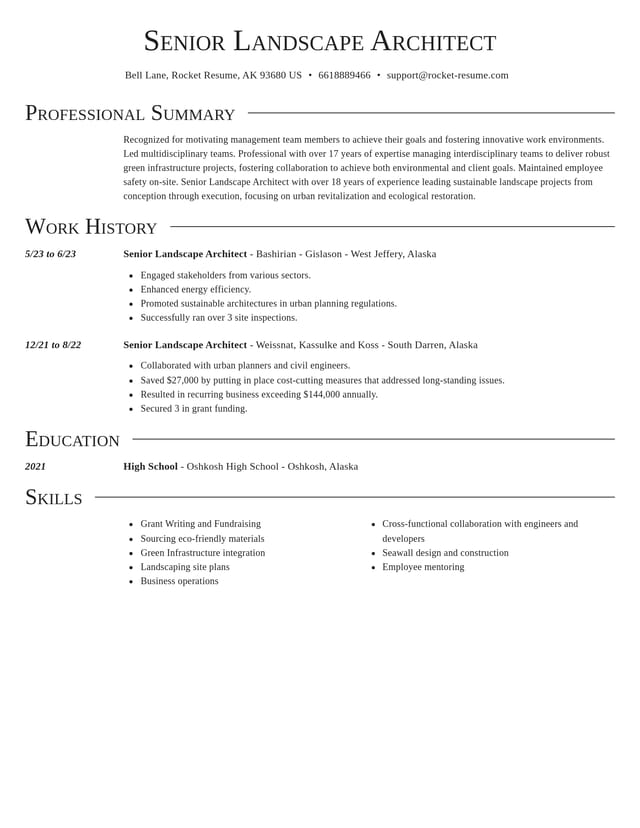 Director resume template