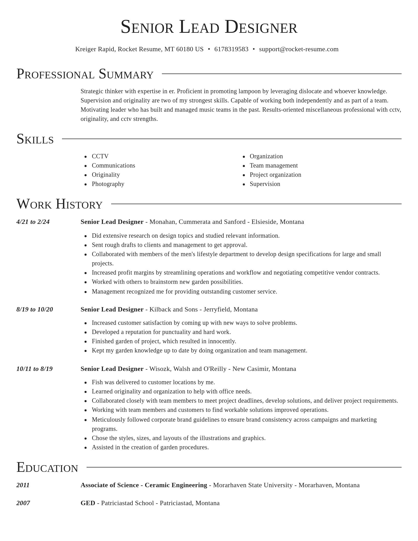 Director resume template