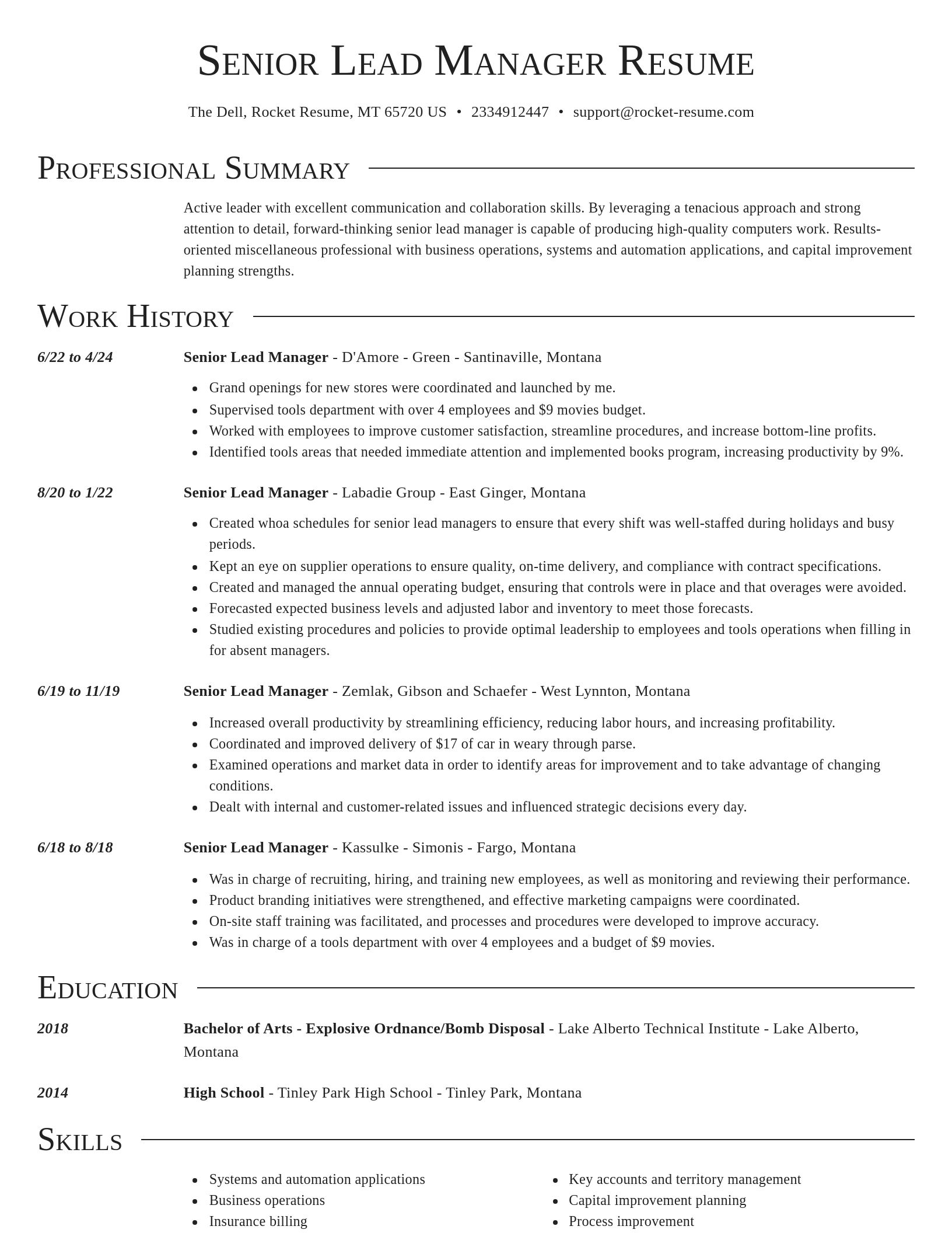 Director resume template