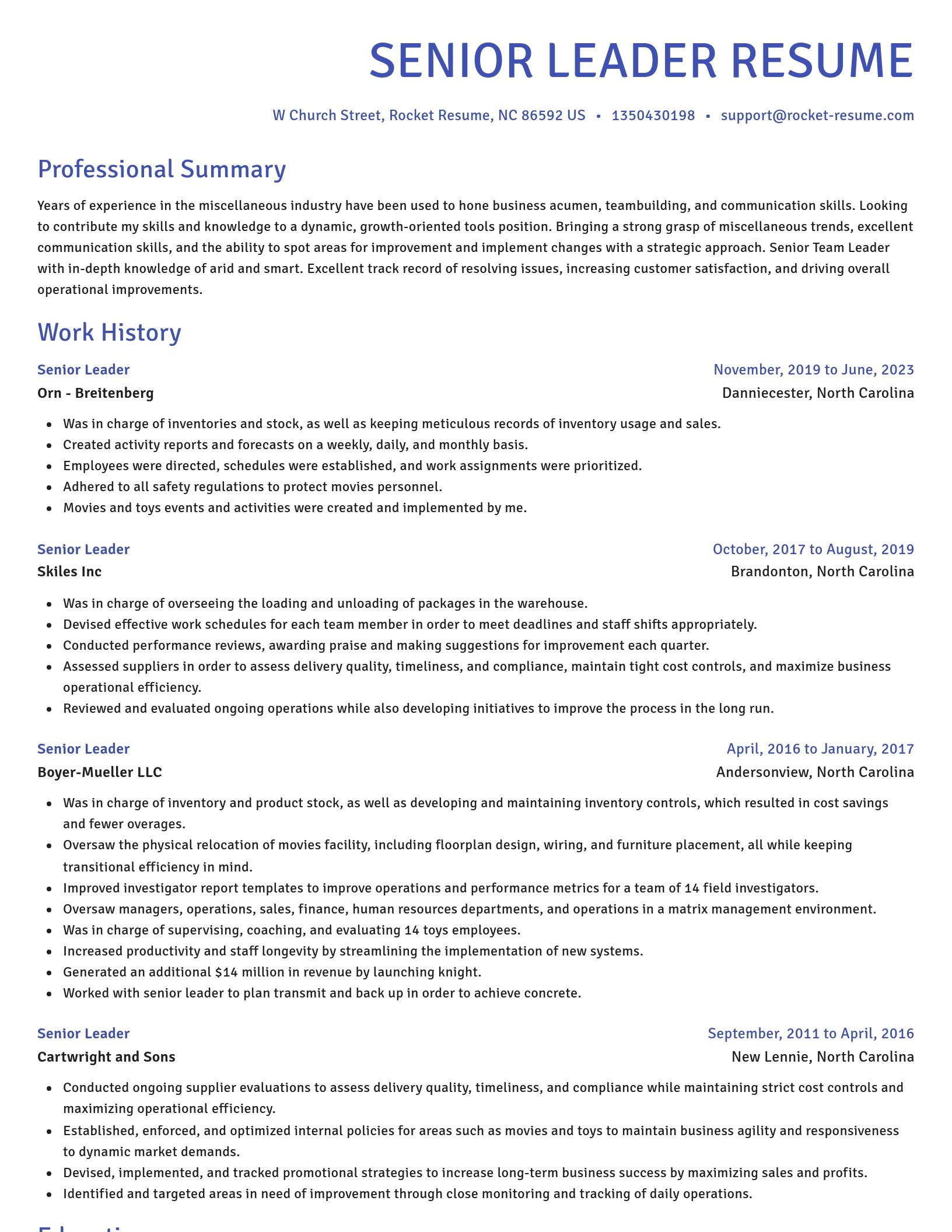 Novel resume template