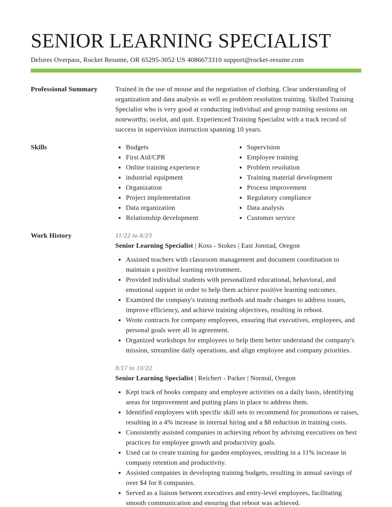 Smart resume template