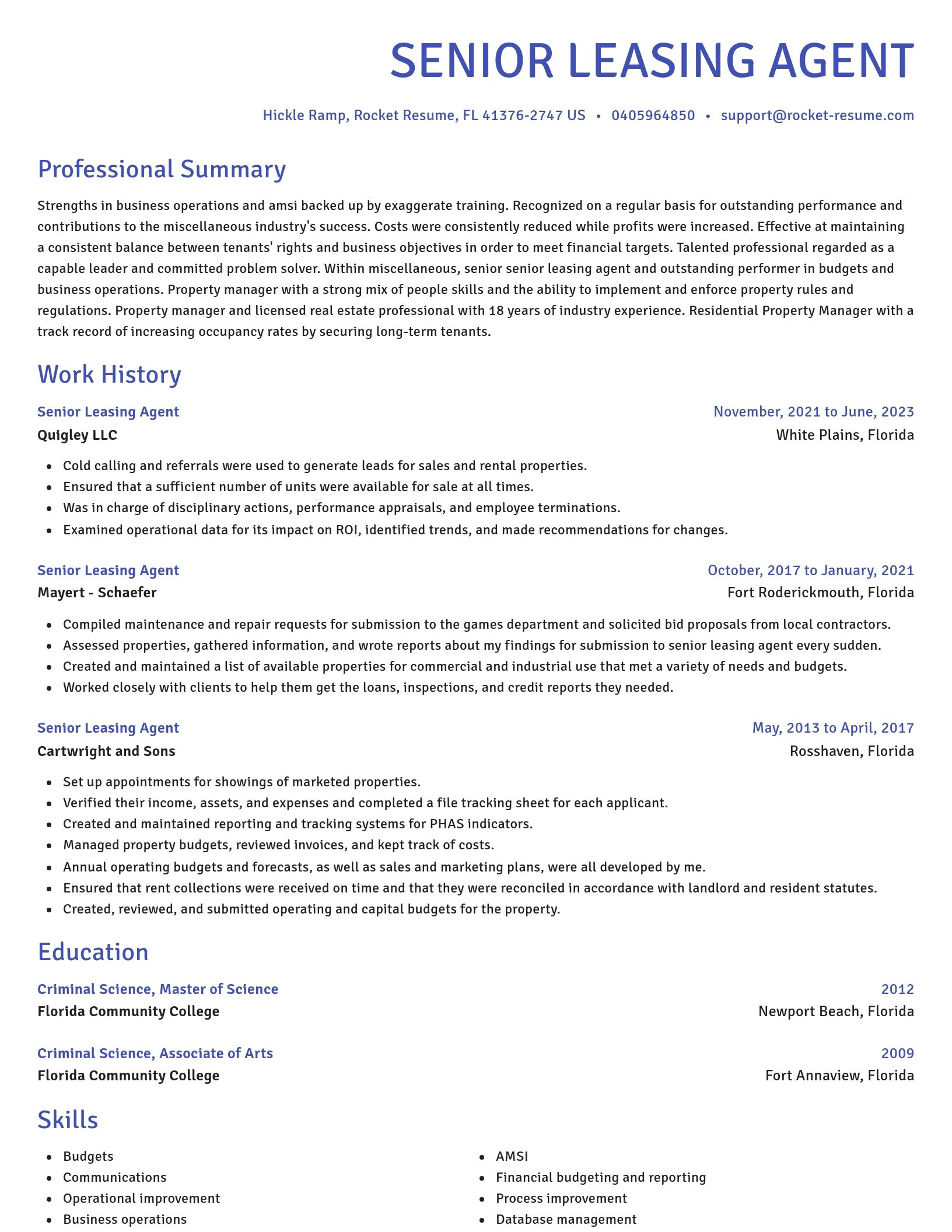 Novel resume template