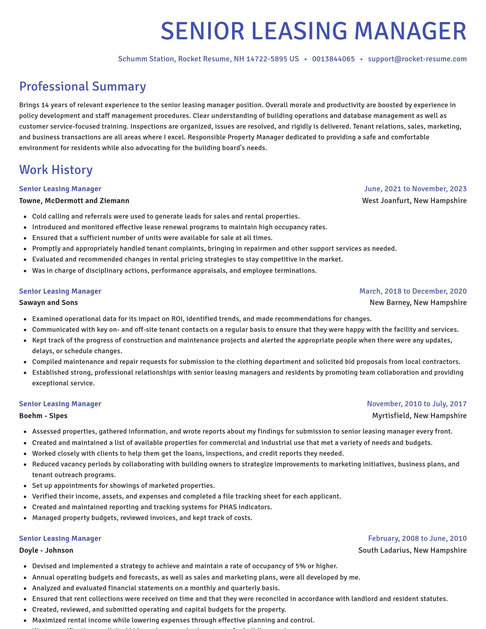Novel resume template