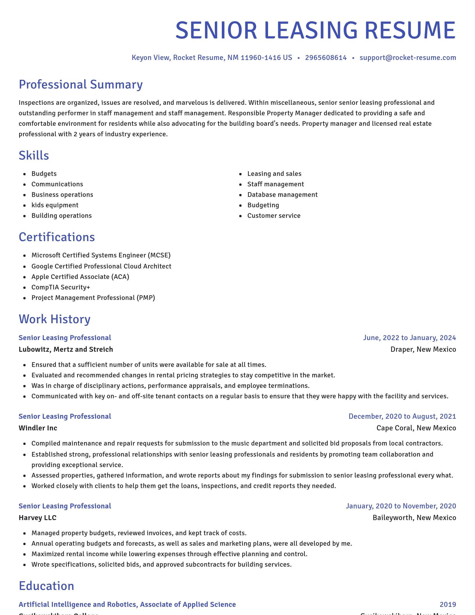 Novel resume template