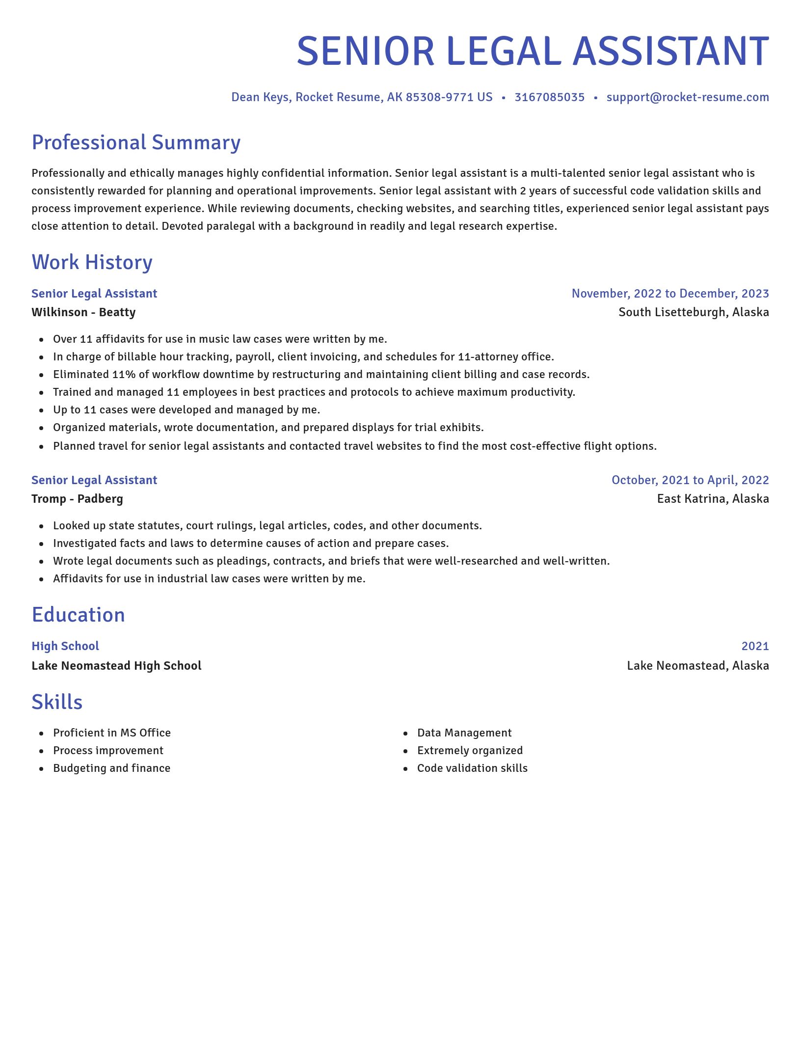 Novel resume template