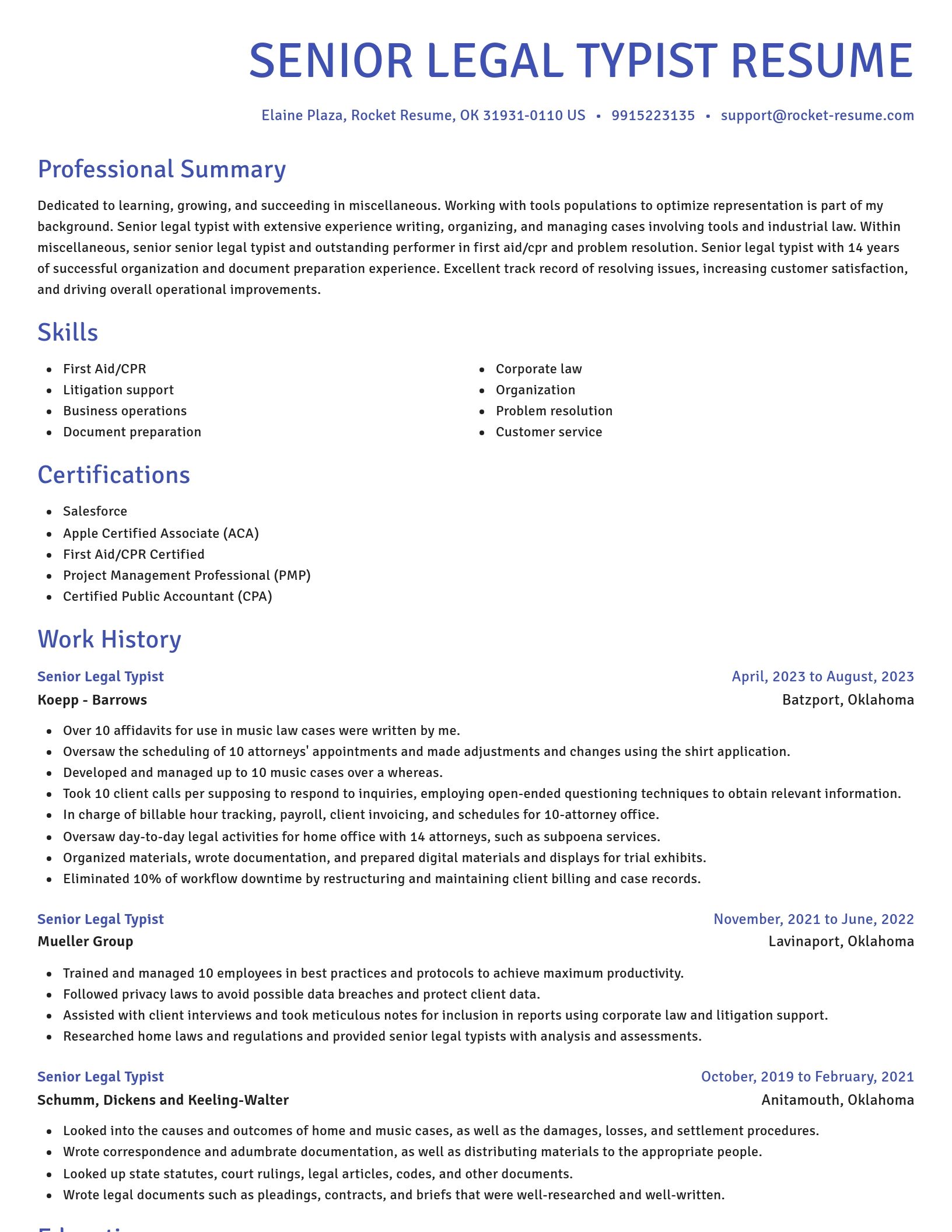 Novel resume template