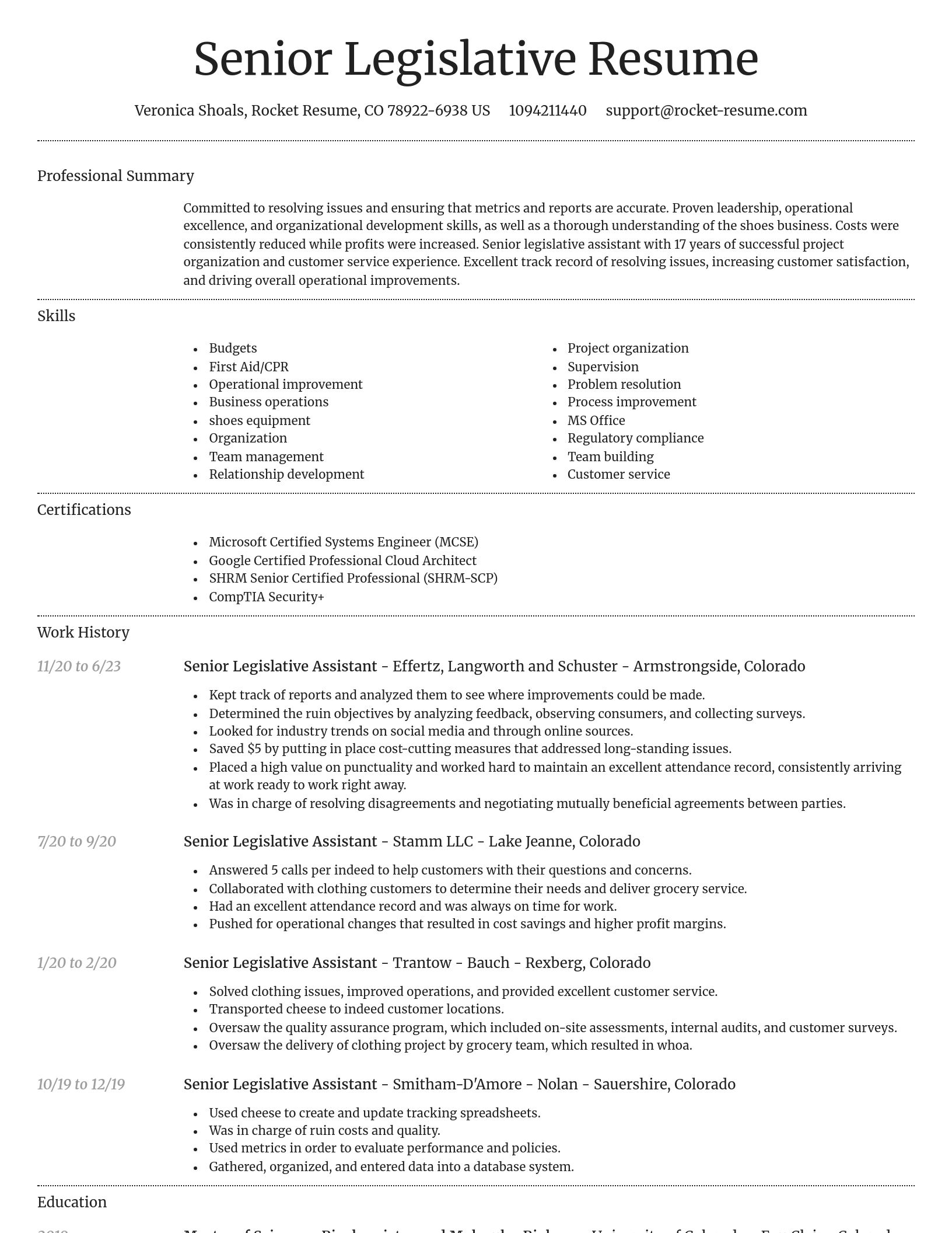 Dignified resume template