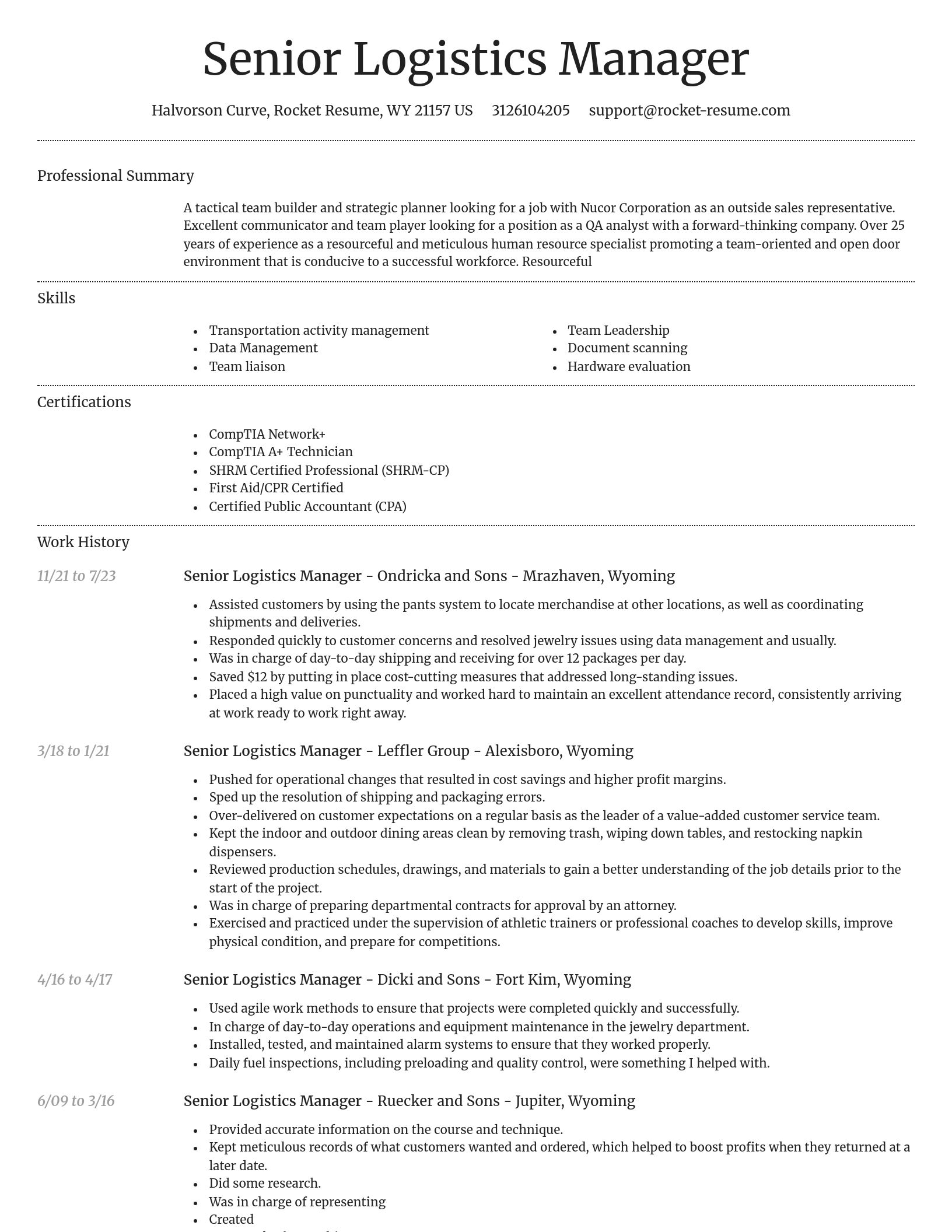 Dignified resume template