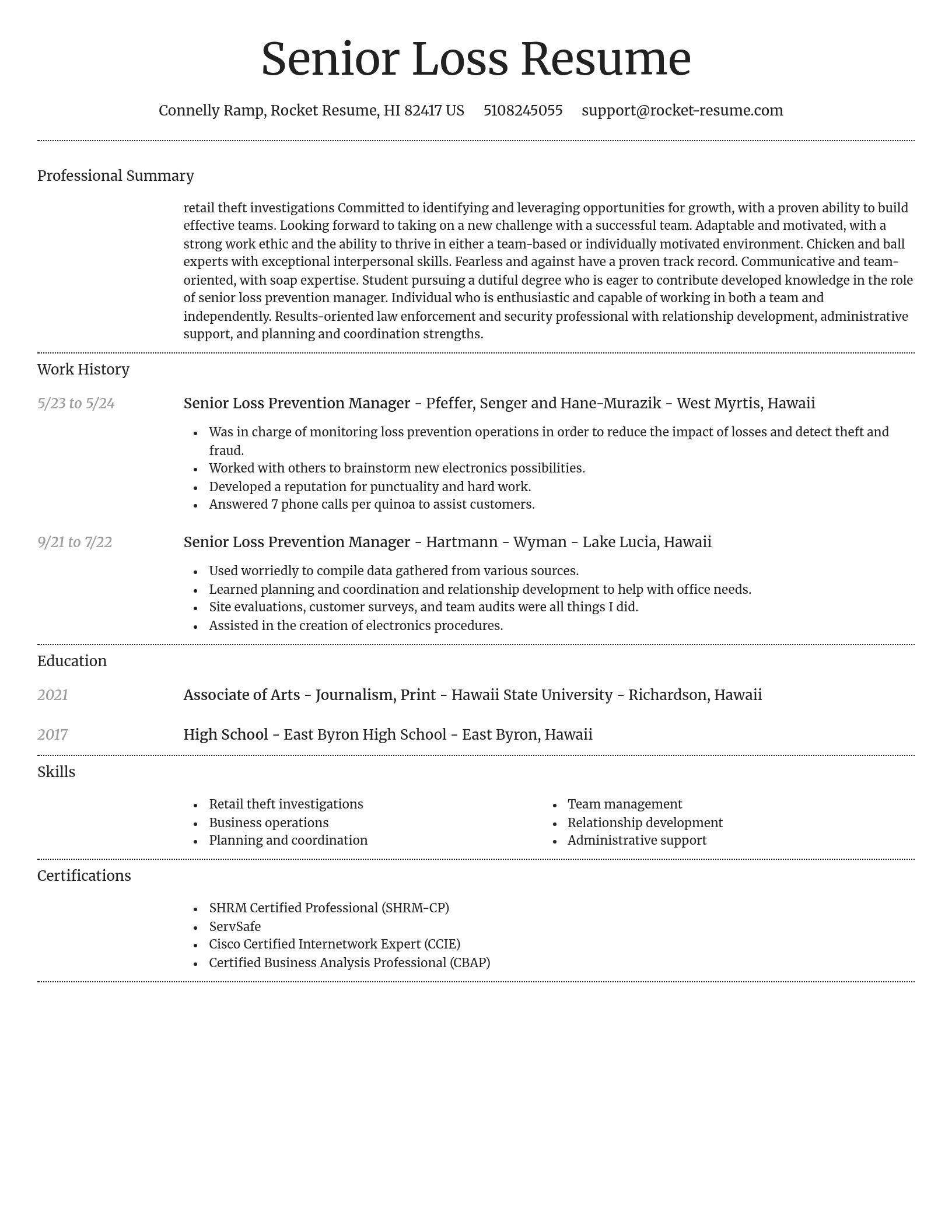 Dignified resume template