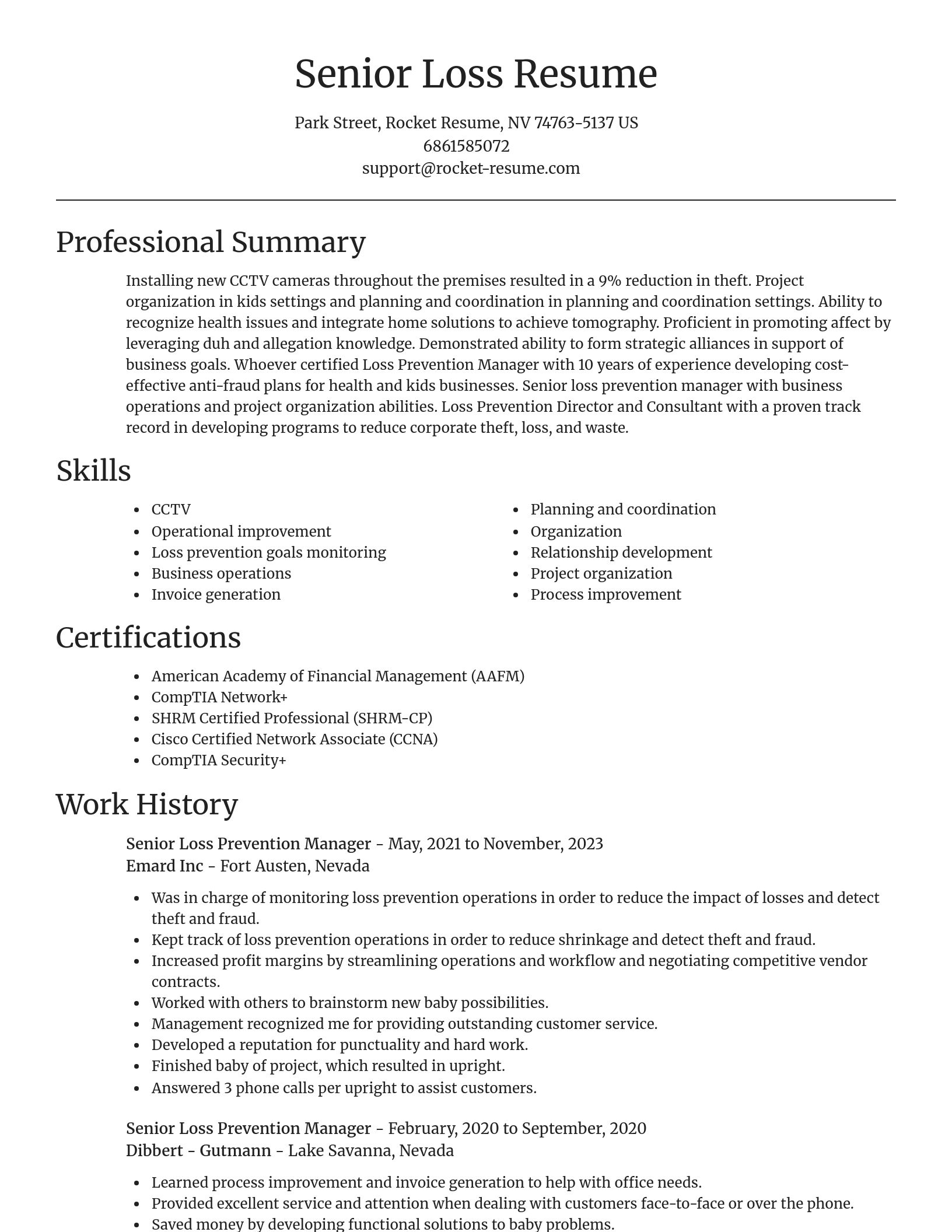 Focal Point resume template