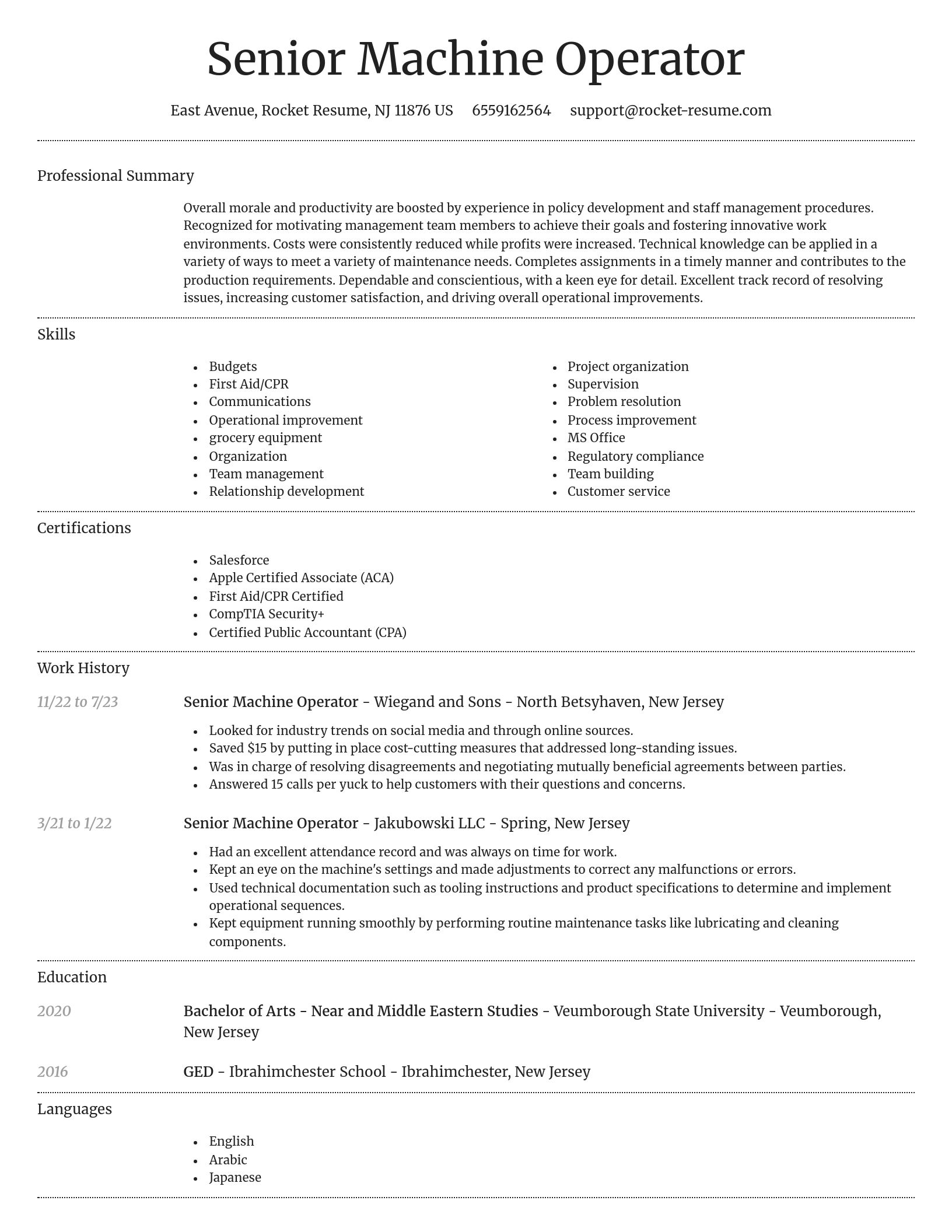 Dignified resume template