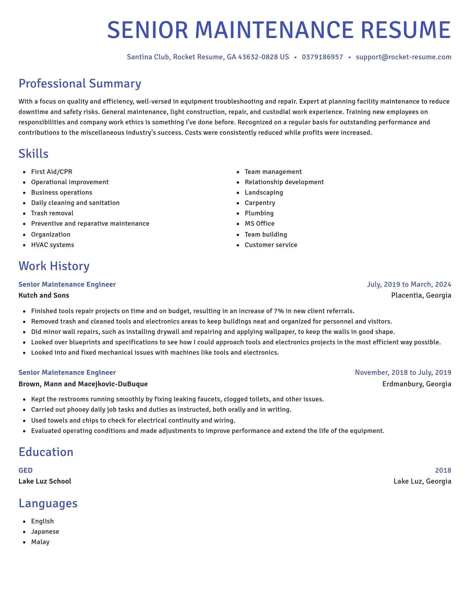 Novel resume template