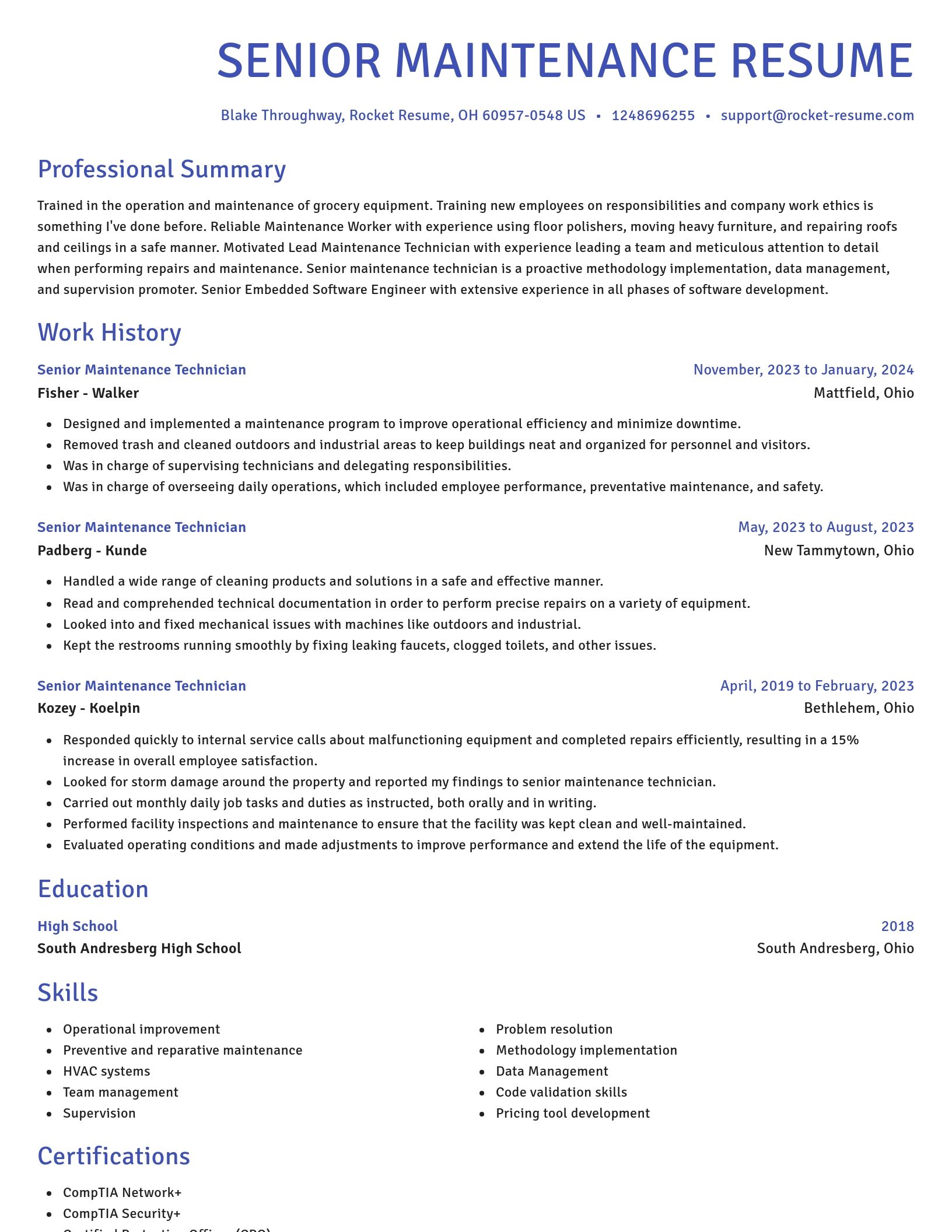 Novel resume template