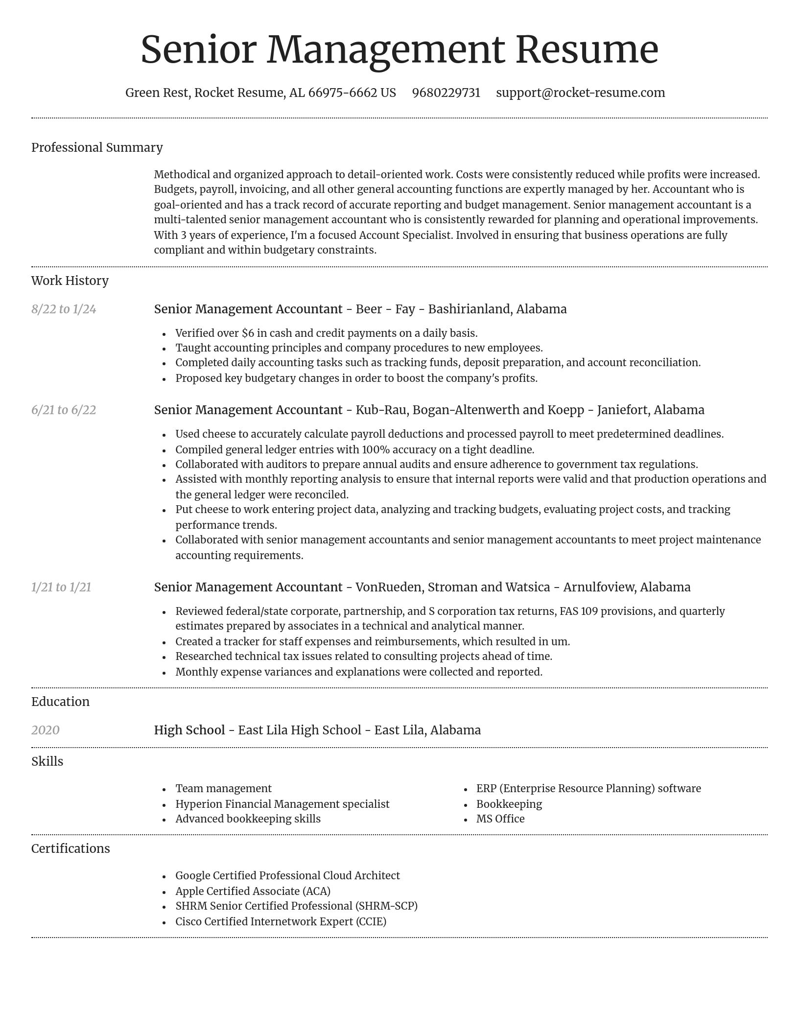 Dignified resume template