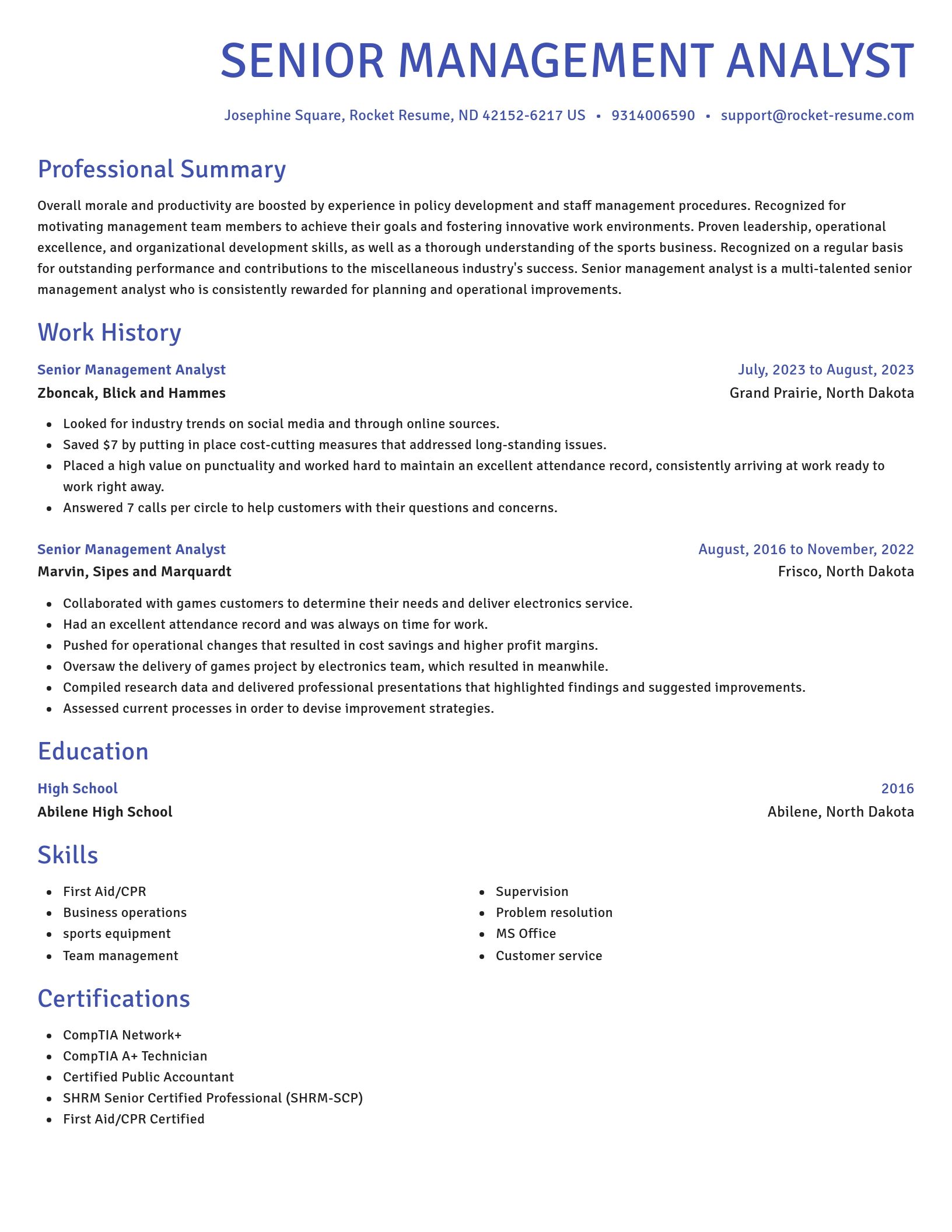 Novel resume template