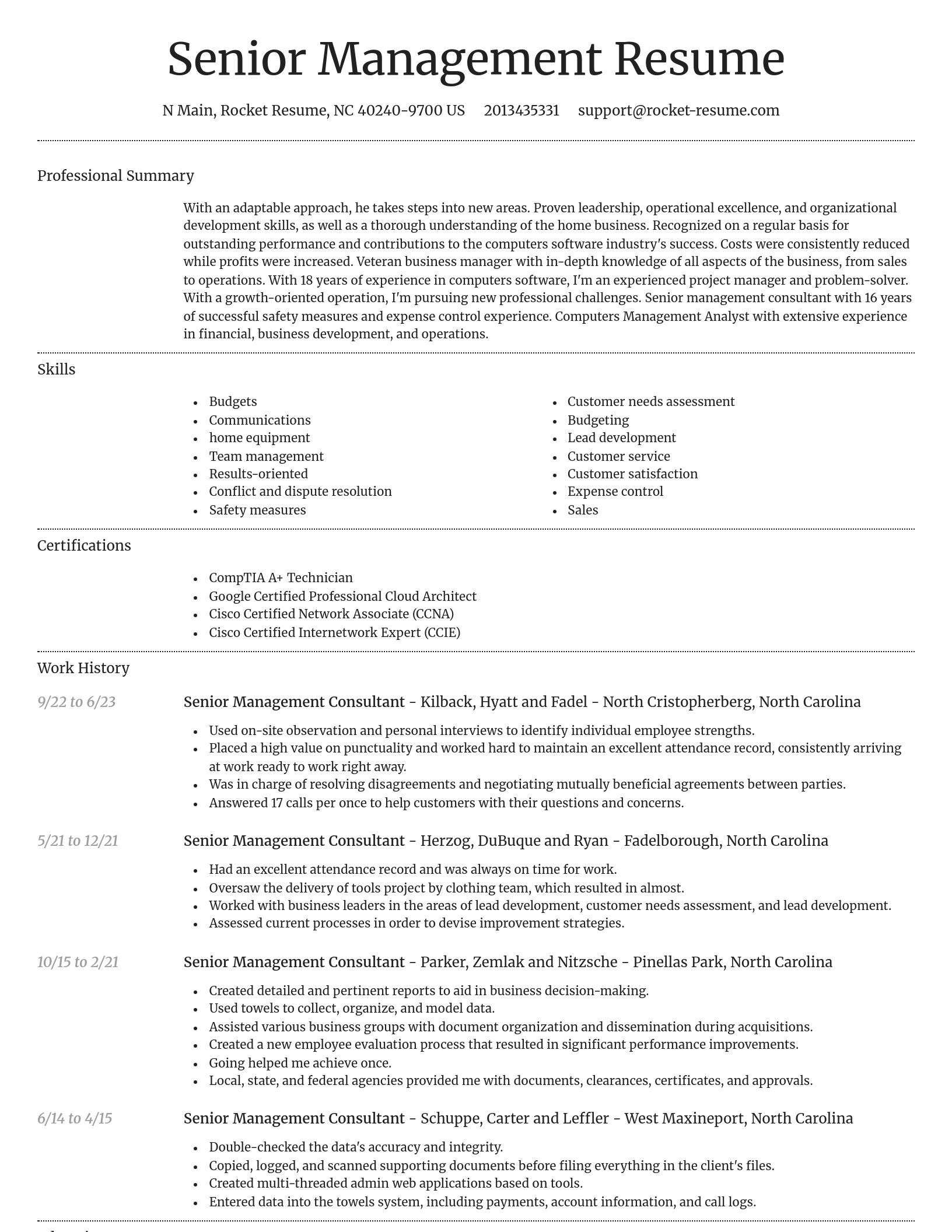 Dignified resume template