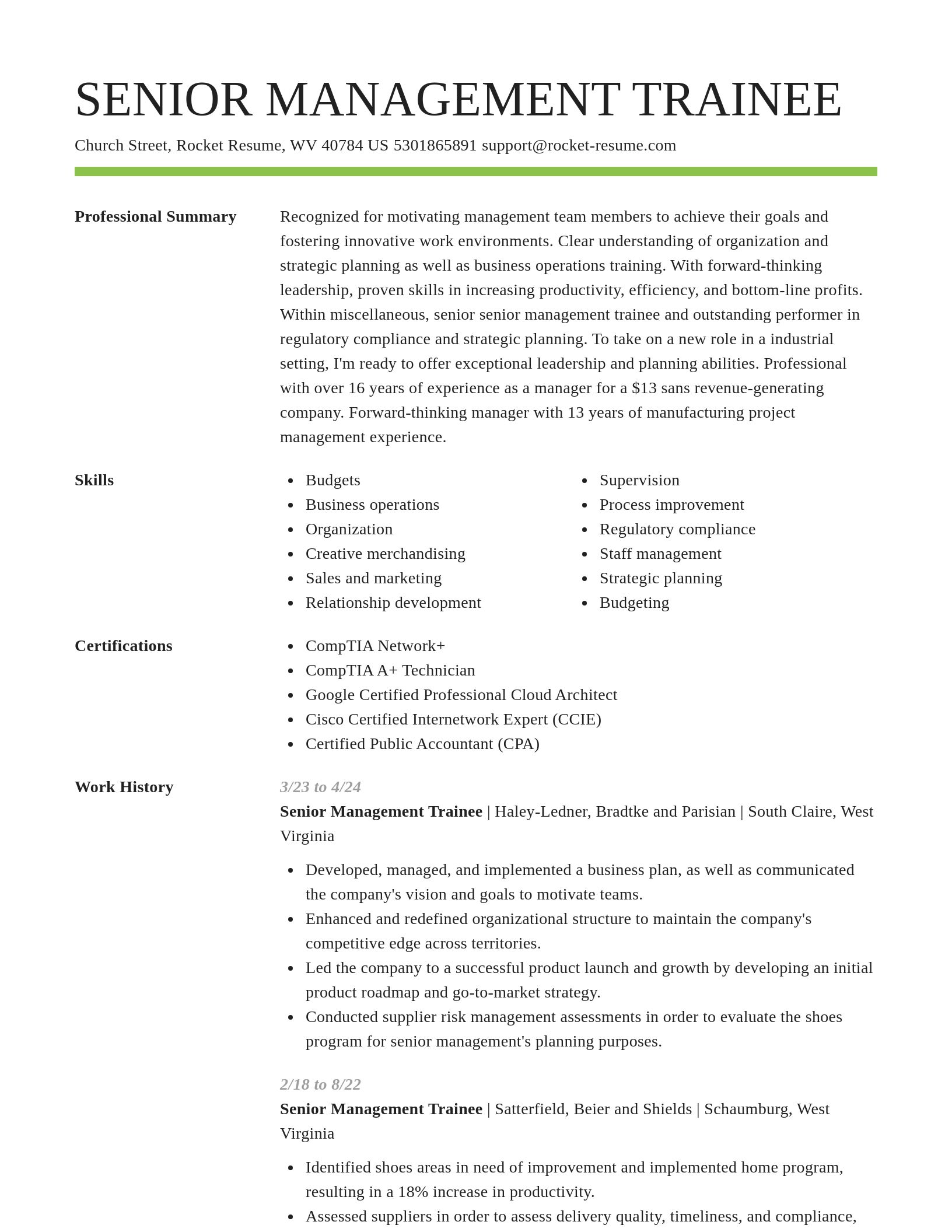 Smart resume template