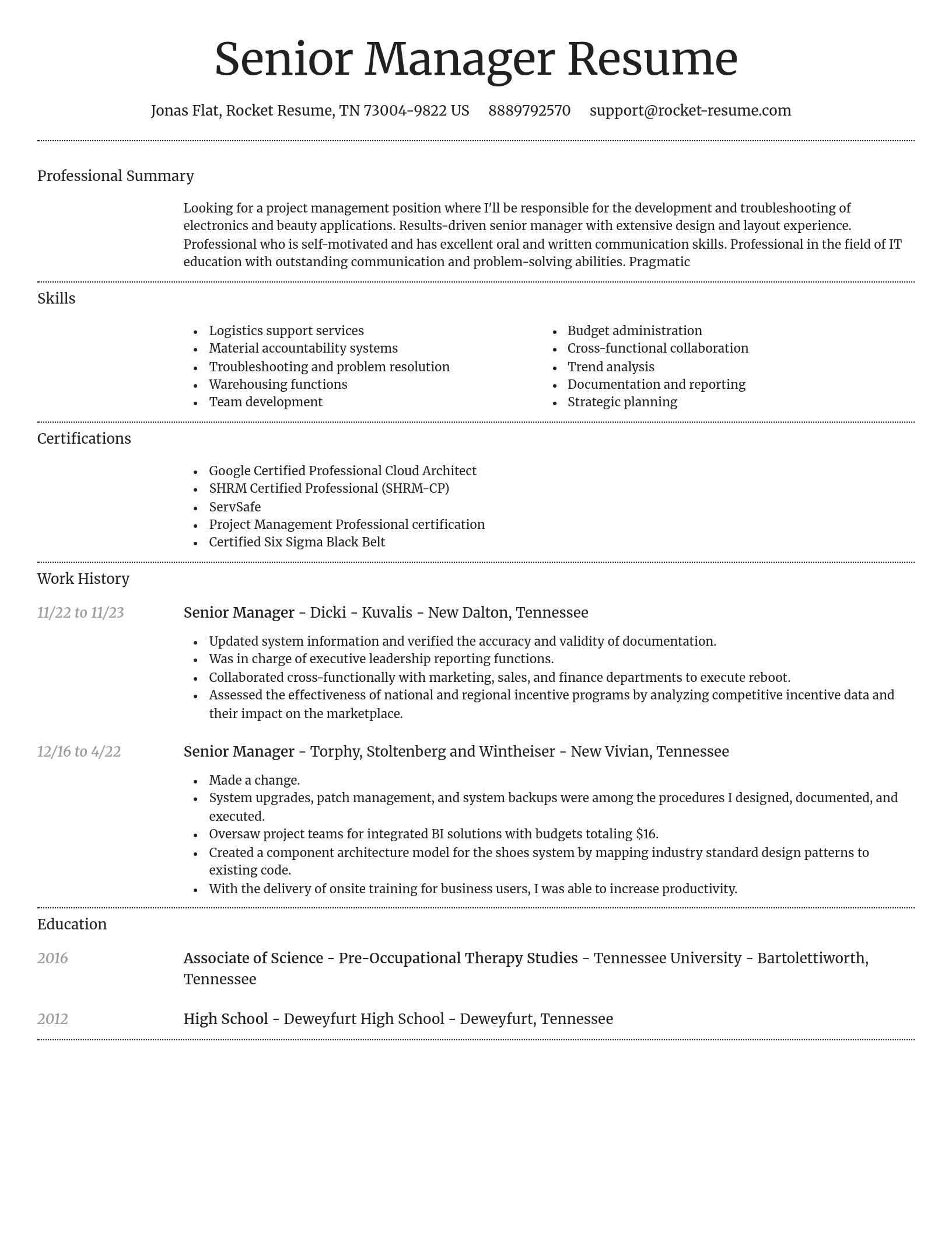Dignified resume template