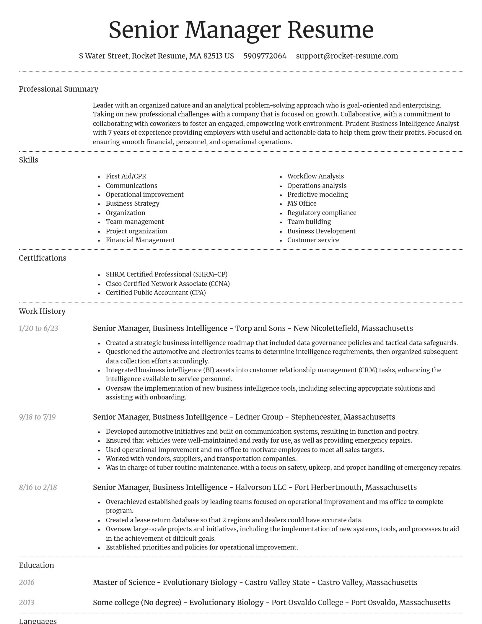 Dignified resume template