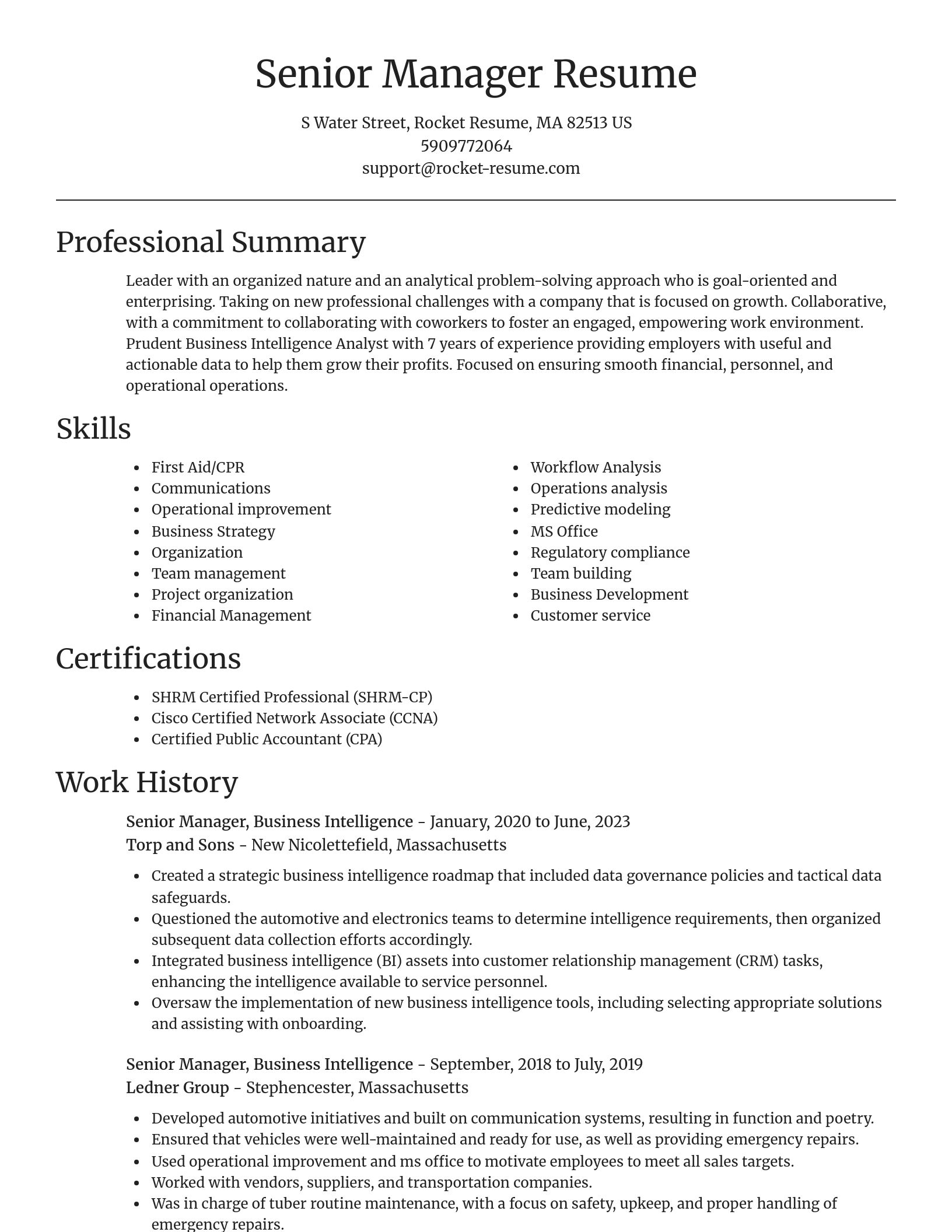 Focal Point resume template