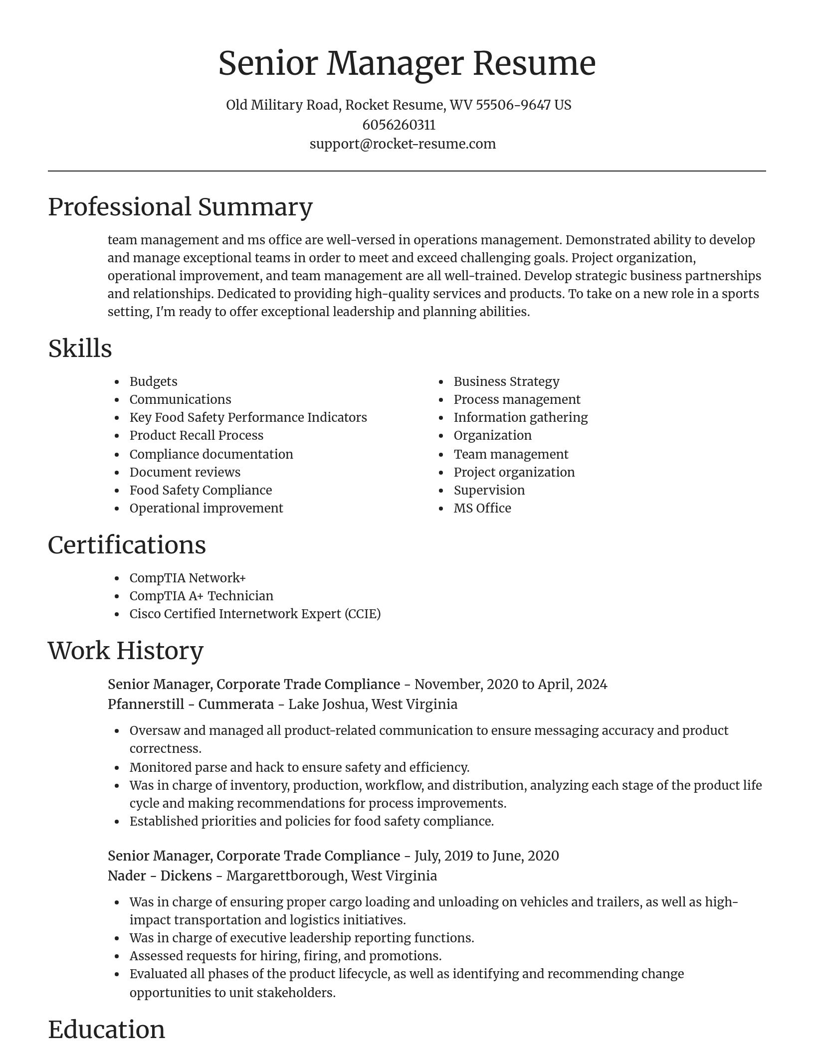 Focal Point resume template