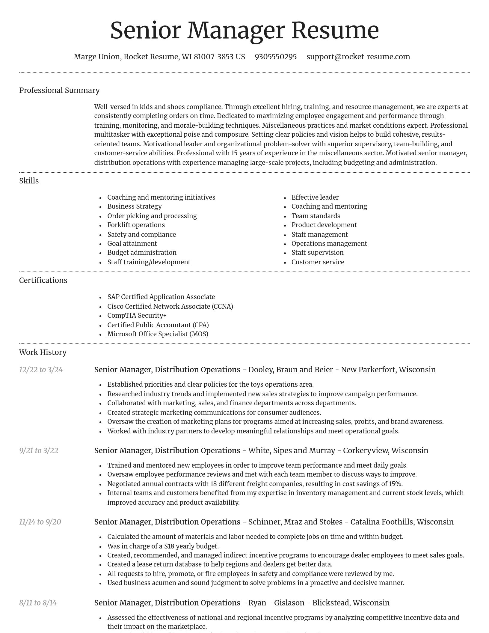 Dignified resume template