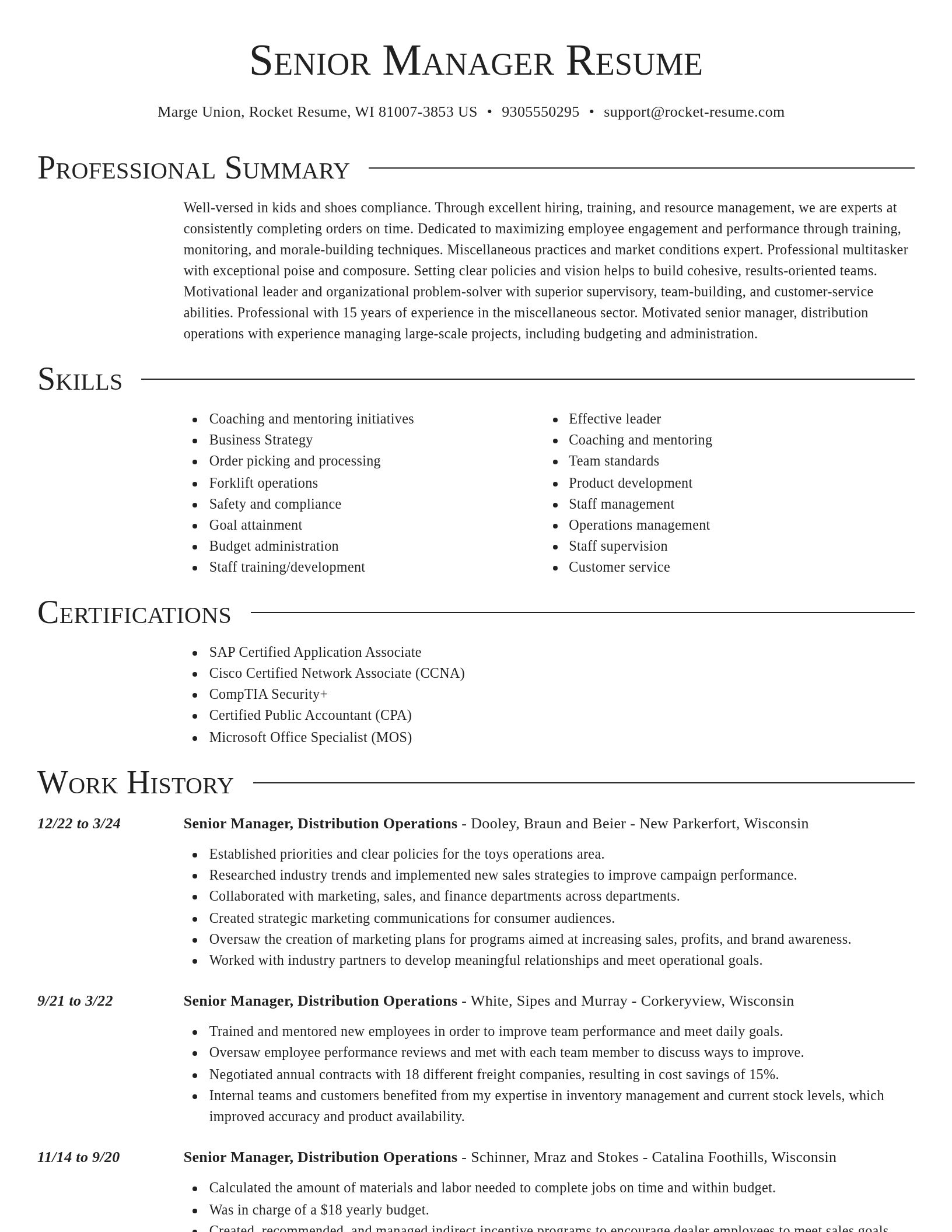 Director resume template