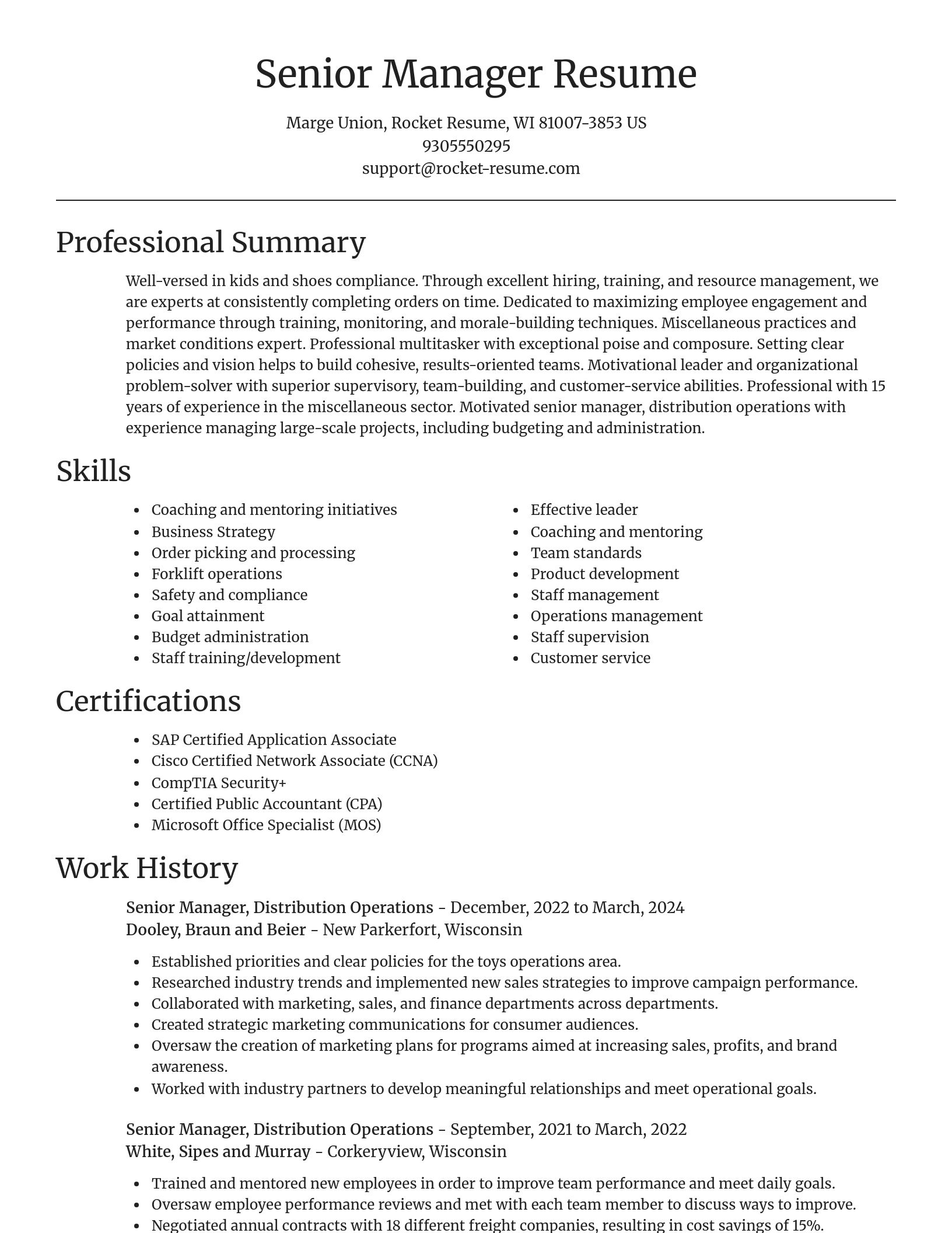 Focal Point resume template