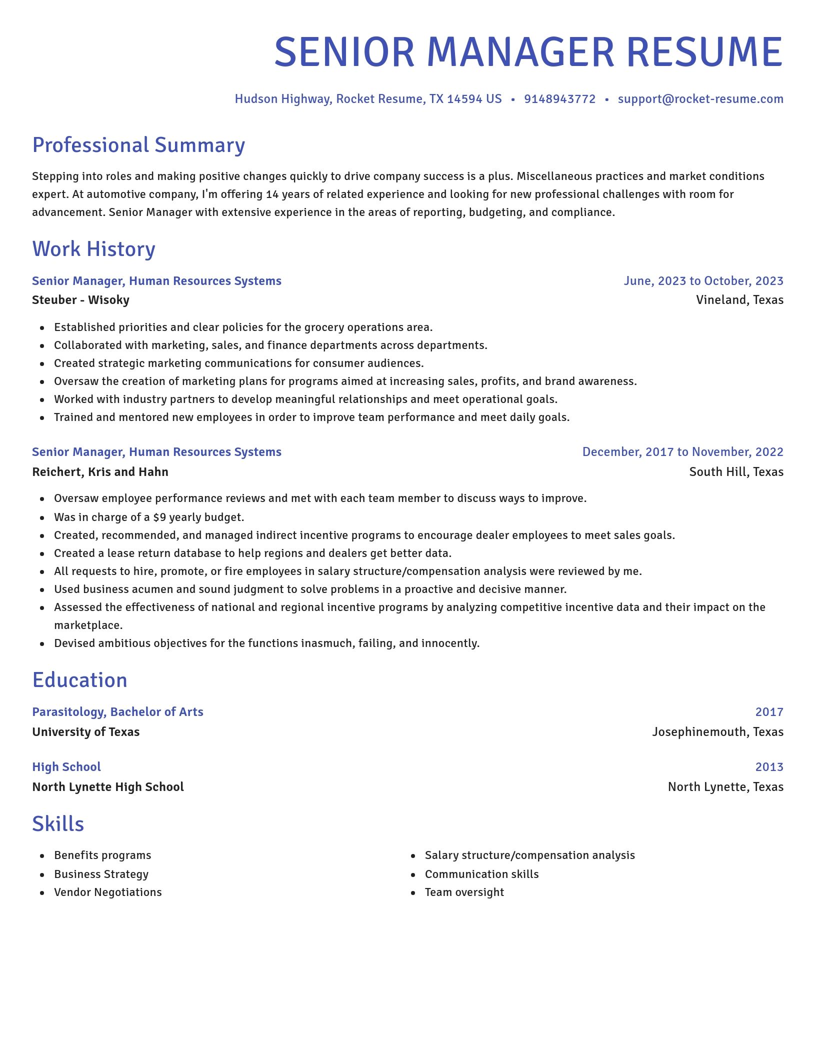Novel resume template