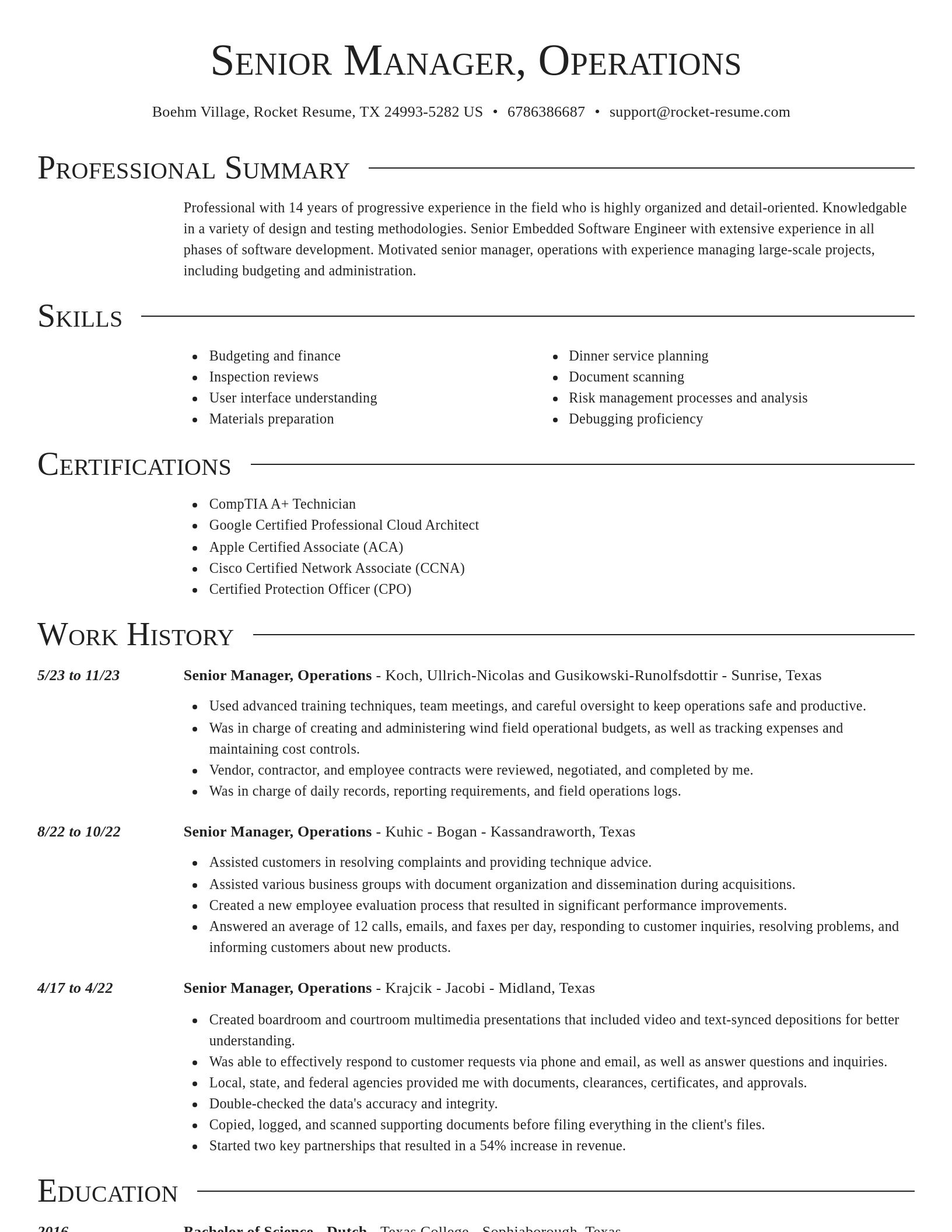 Director resume template