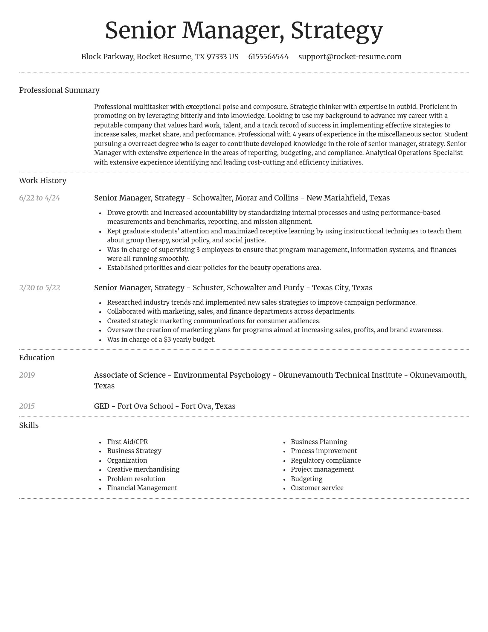 Dignified resume template