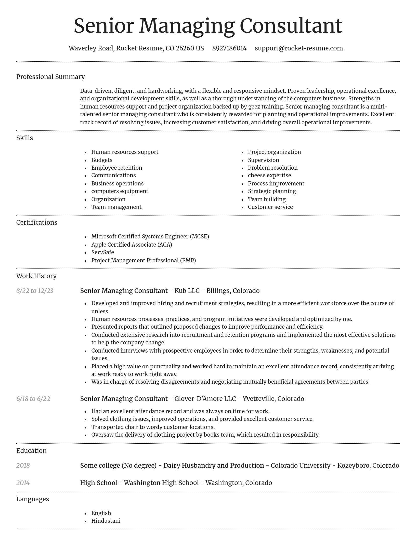 Dignified resume template