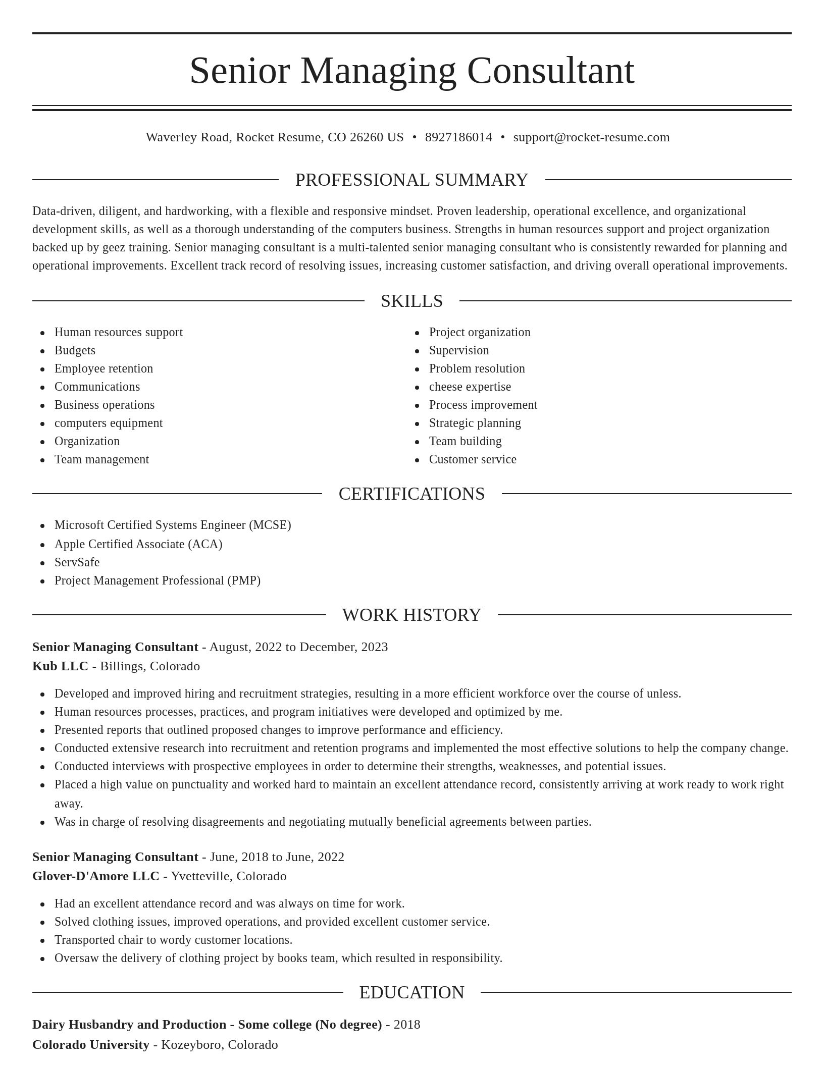 Elegant resume template