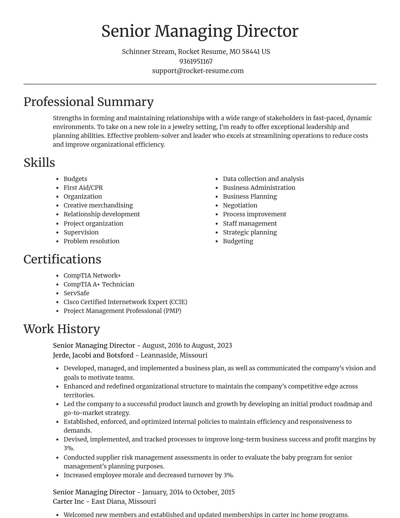 Focal Point resume template