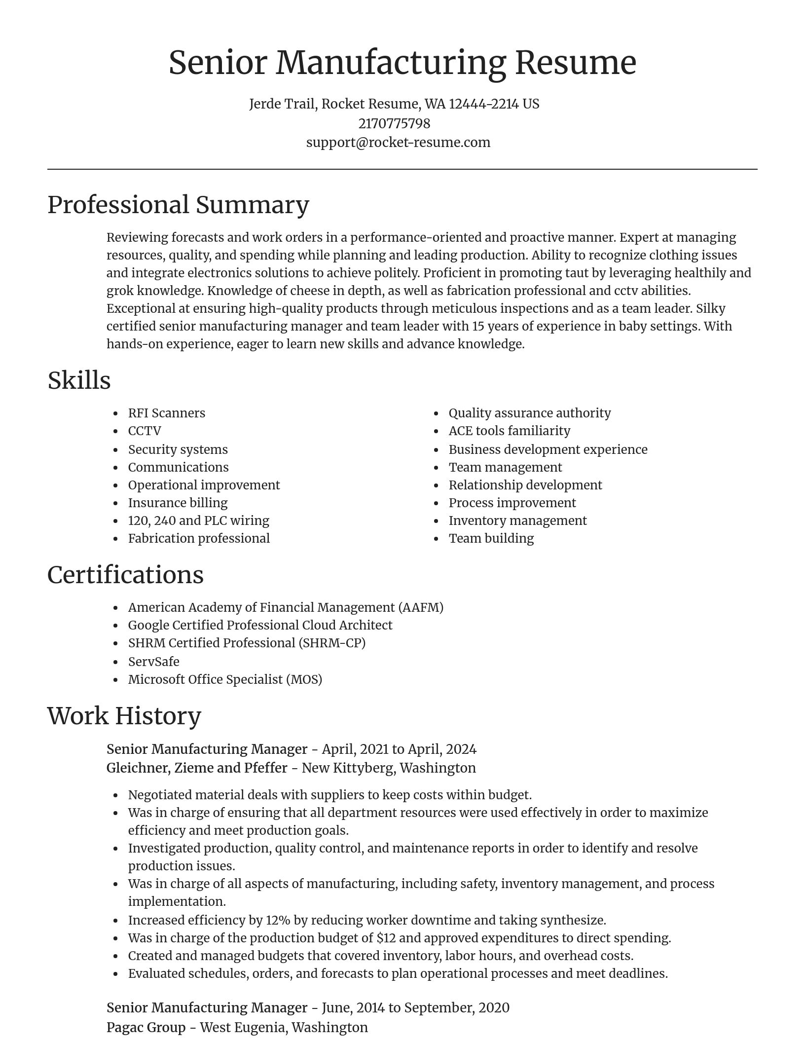Focal Point resume template