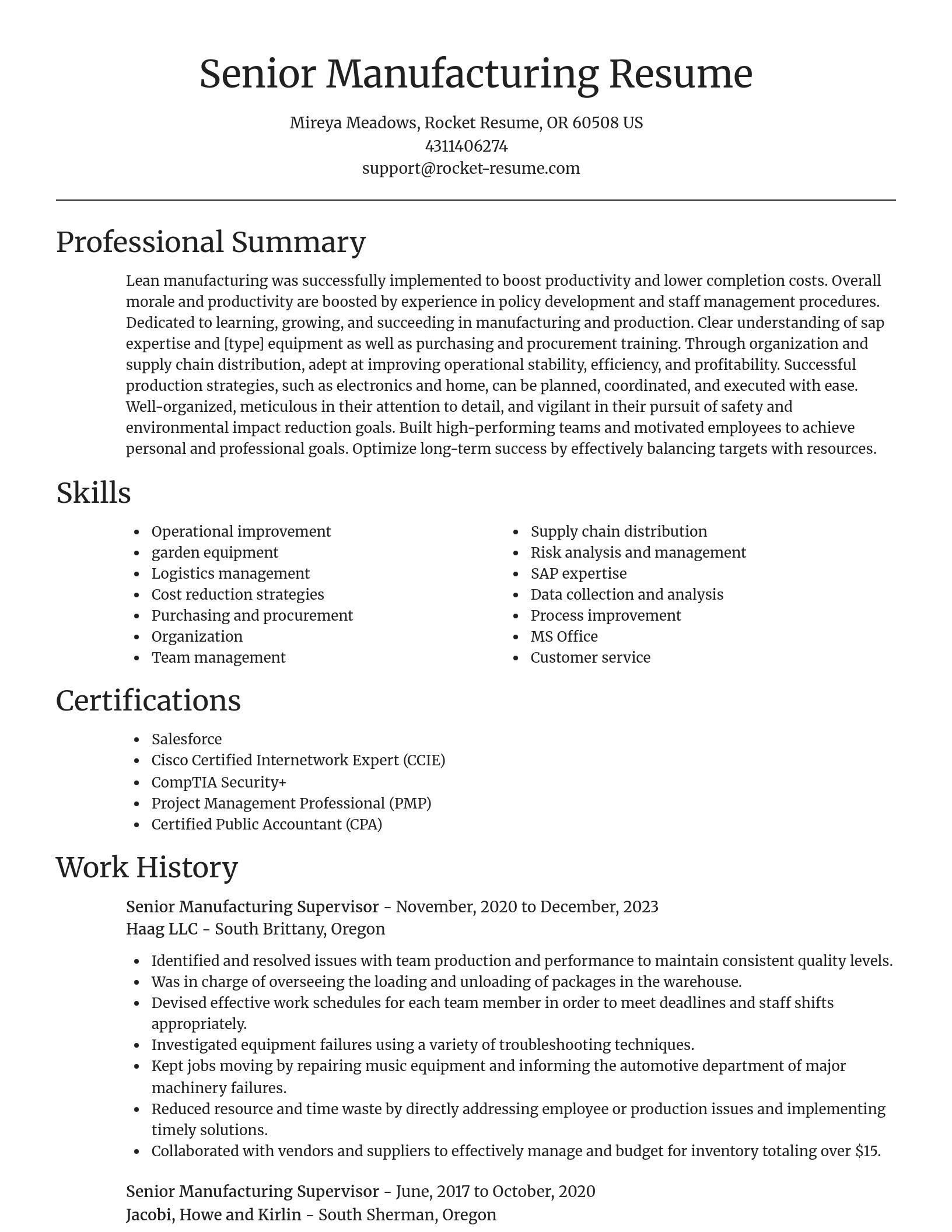 Focal Point resume template