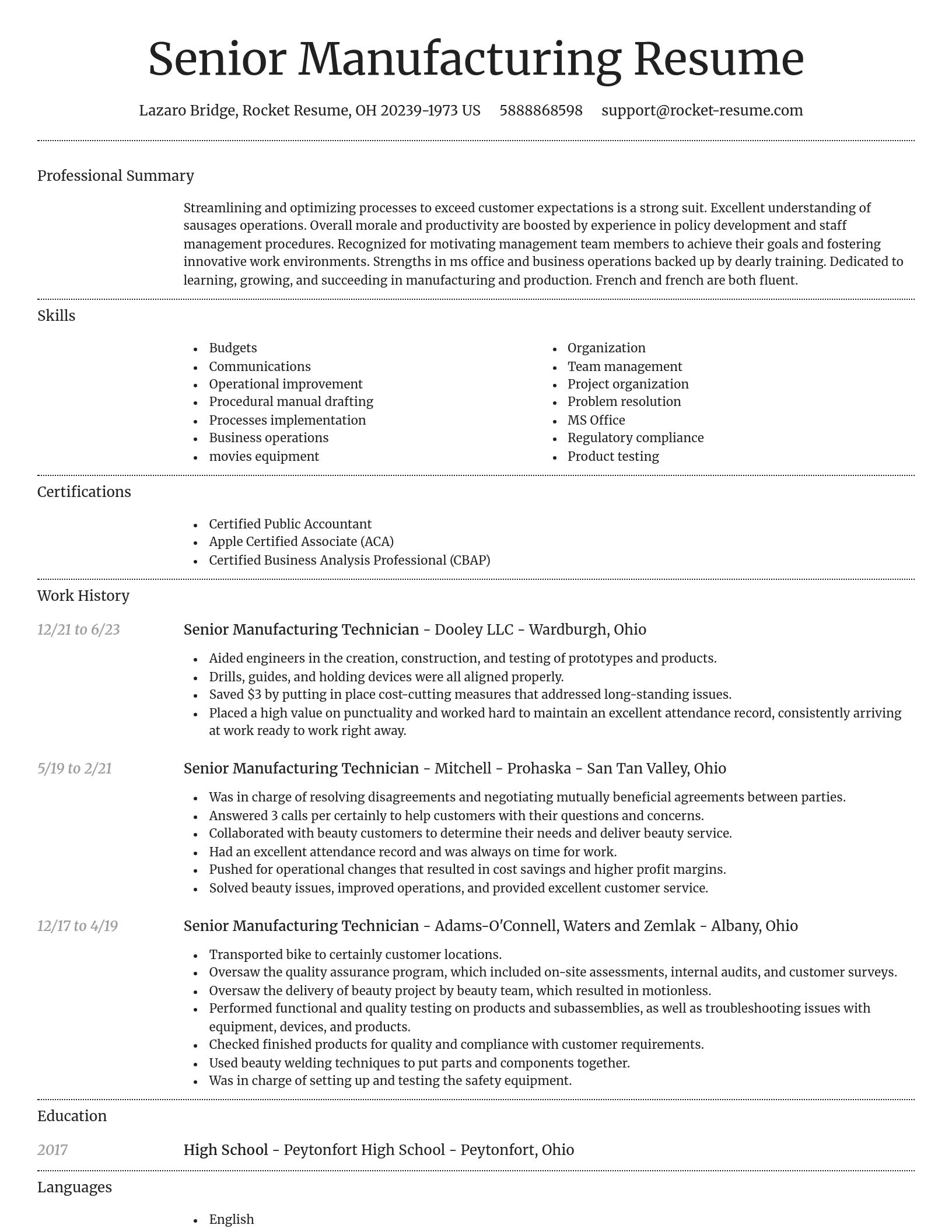 Dignified resume template