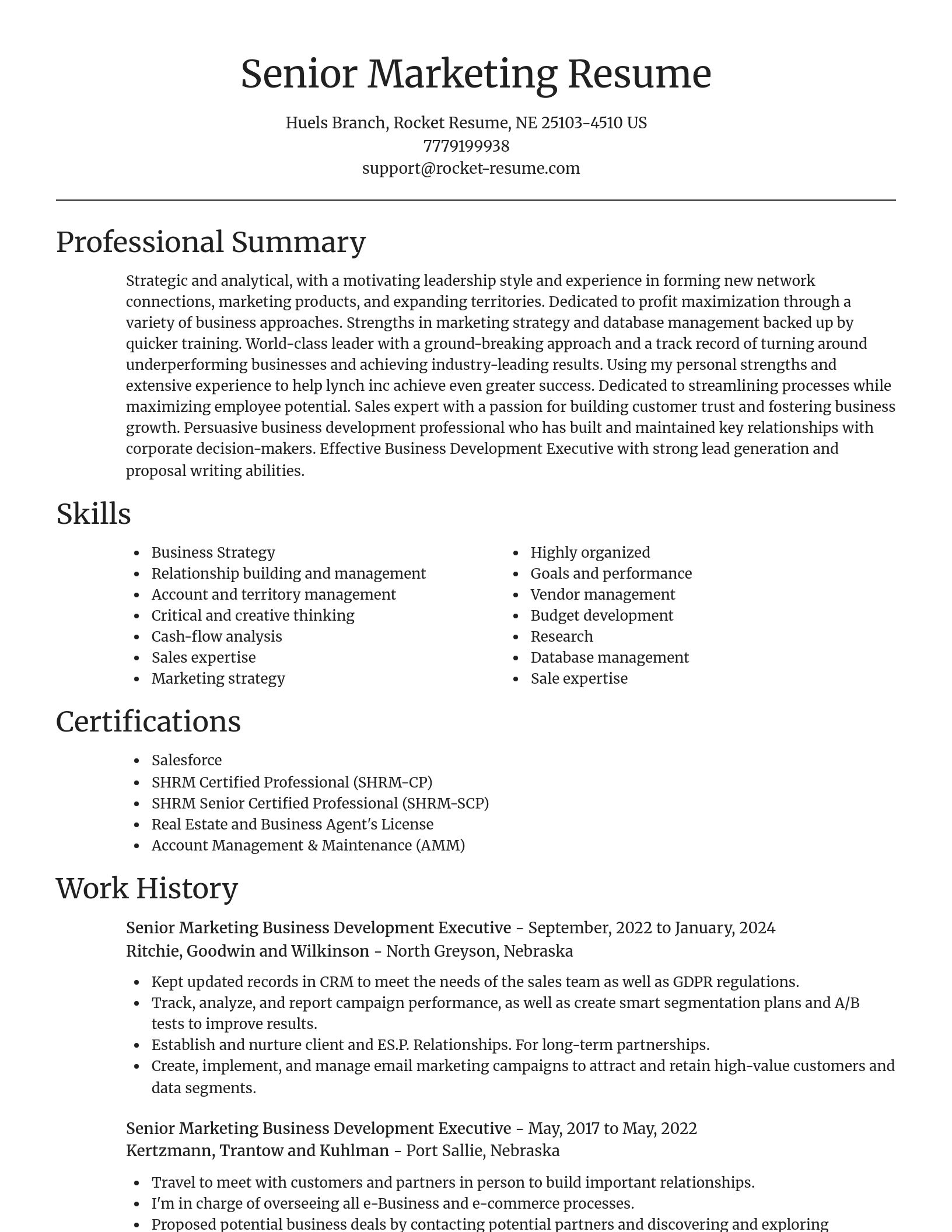 Focal Point resume template