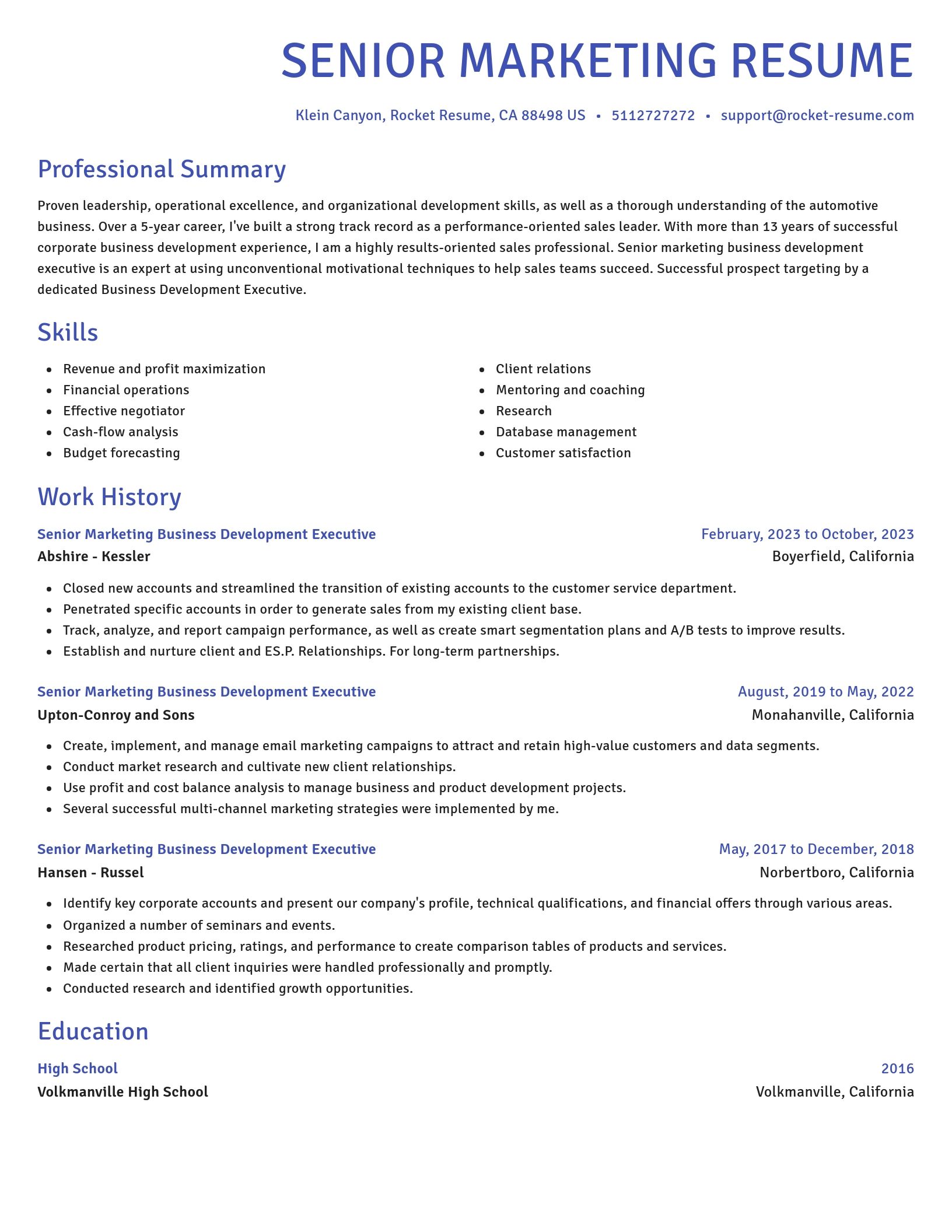 Novel resume template