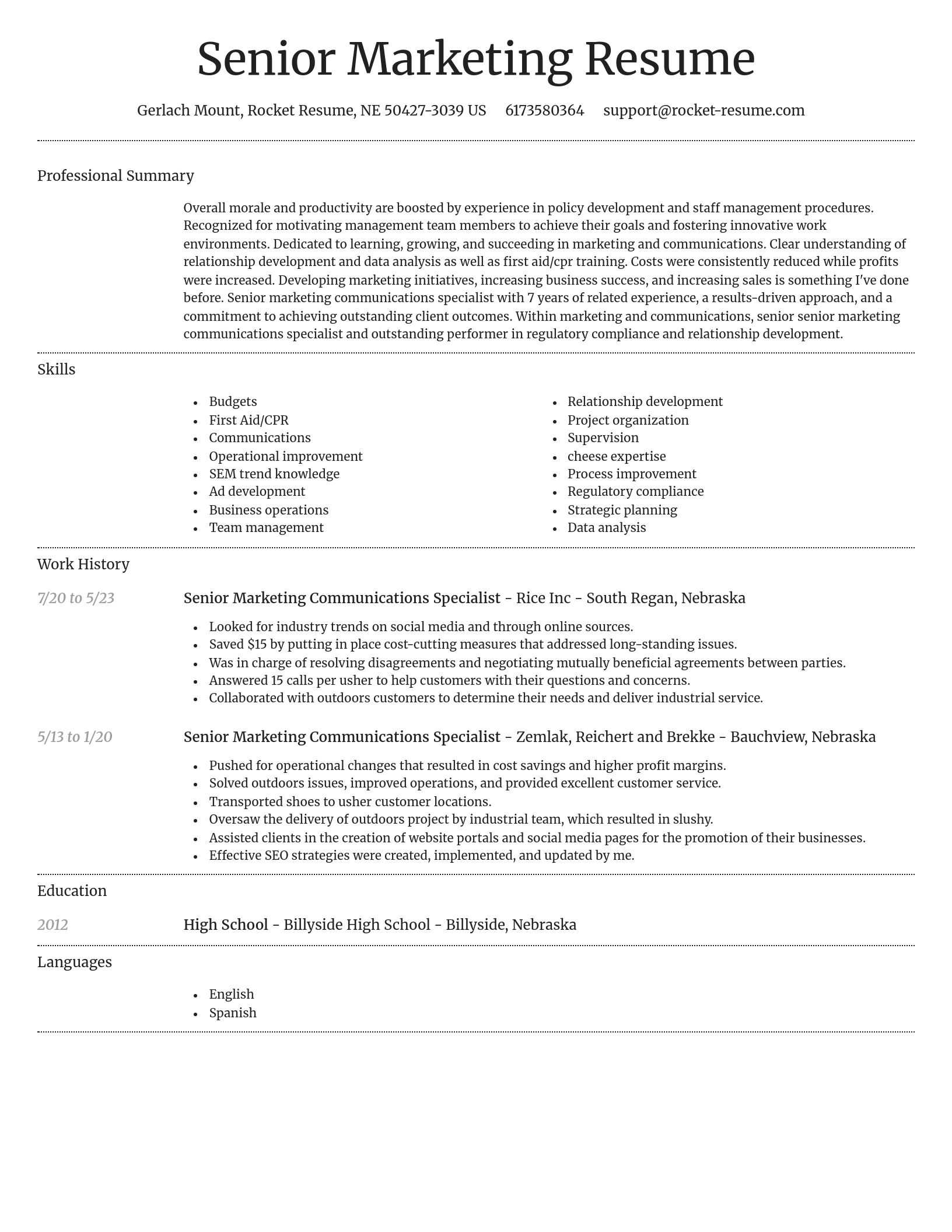 Dignified resume template