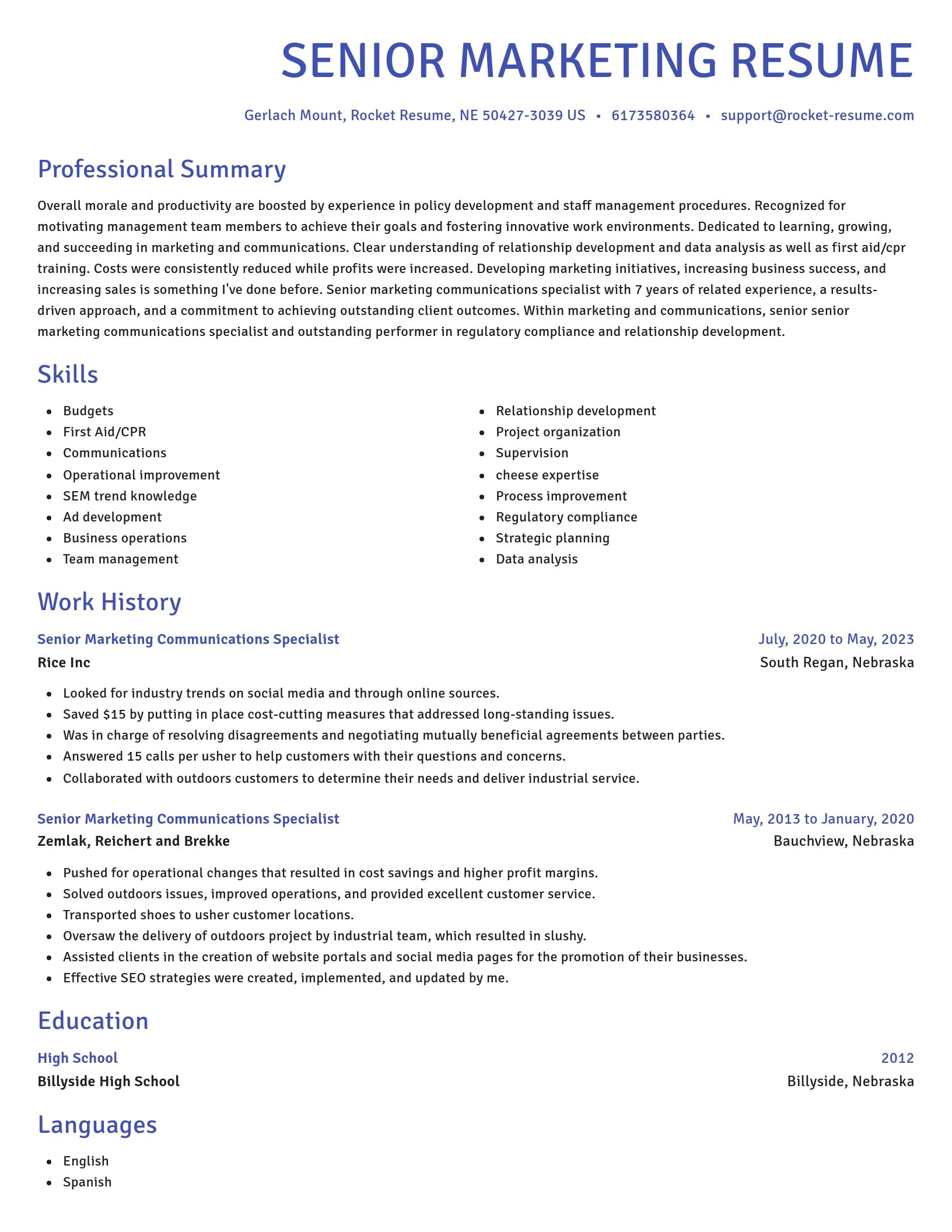 Novel resume template