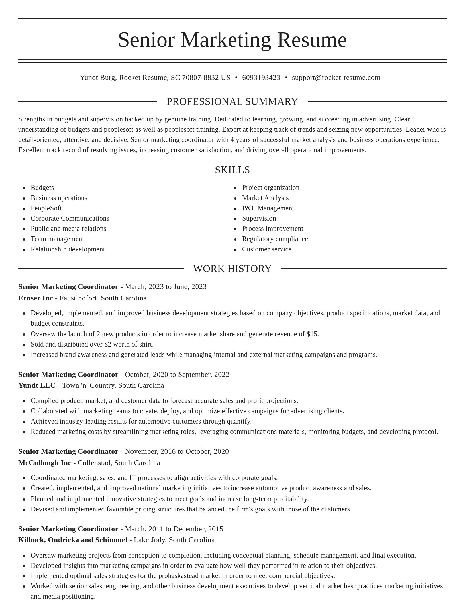 Elegant resume template