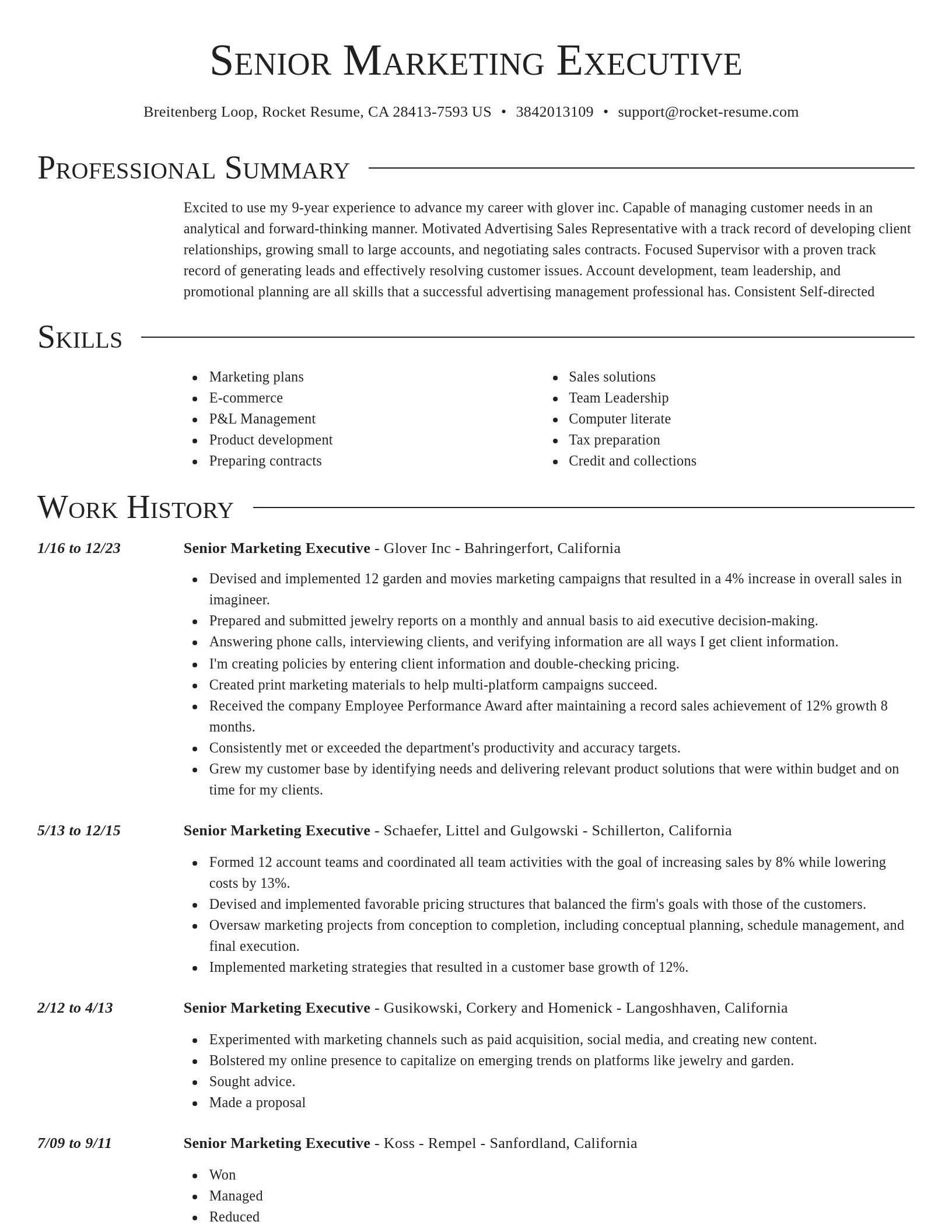 Director resume template