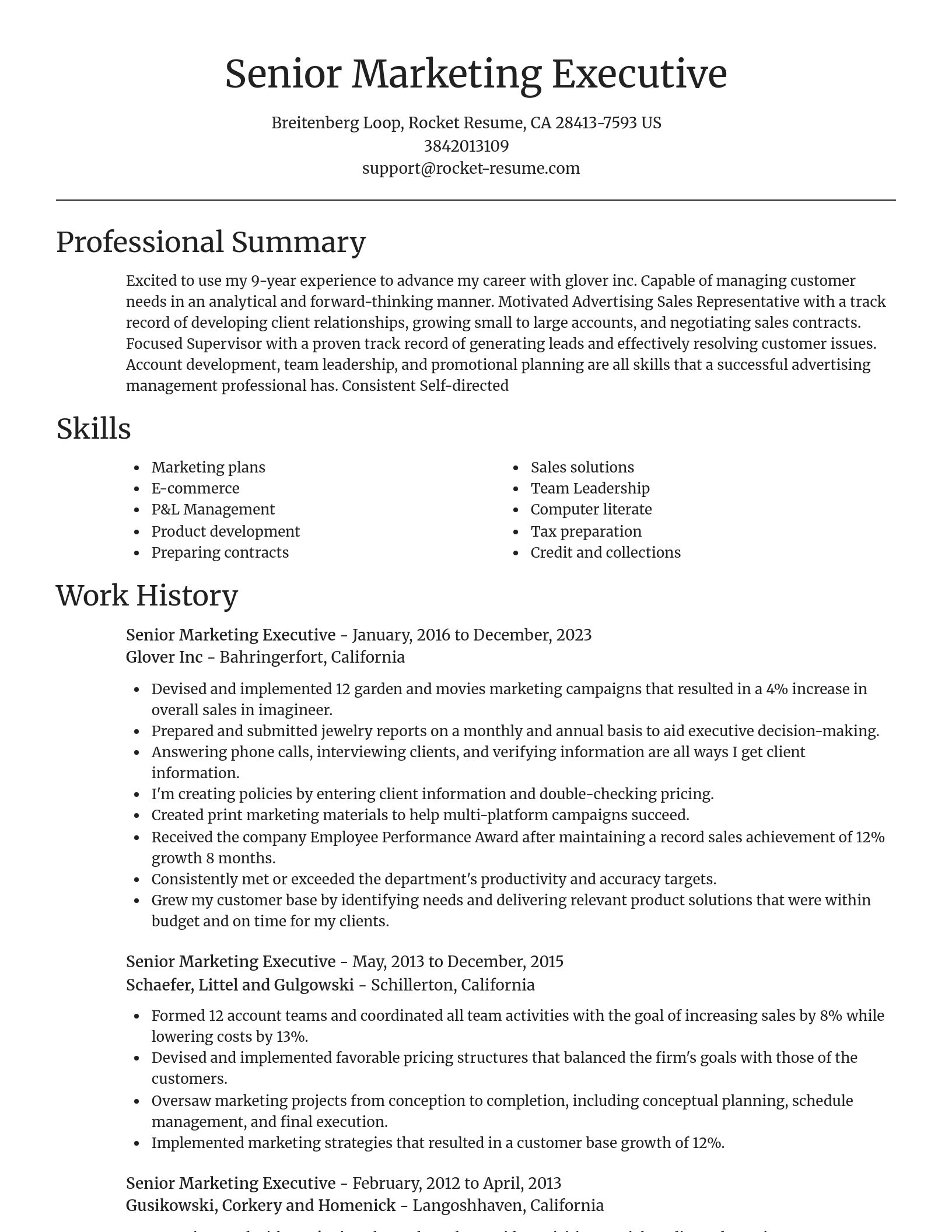 Focal Point resume template