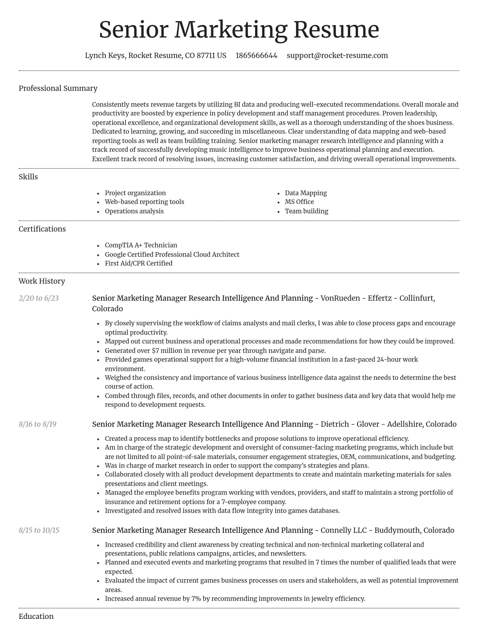 Dignified resume template