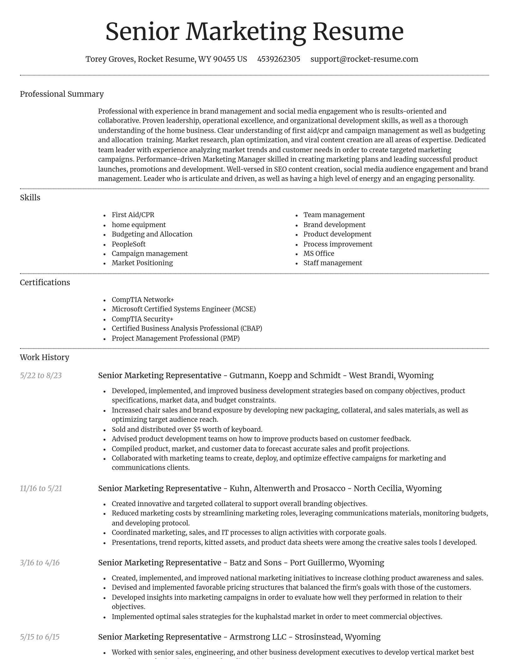 Dignified resume template