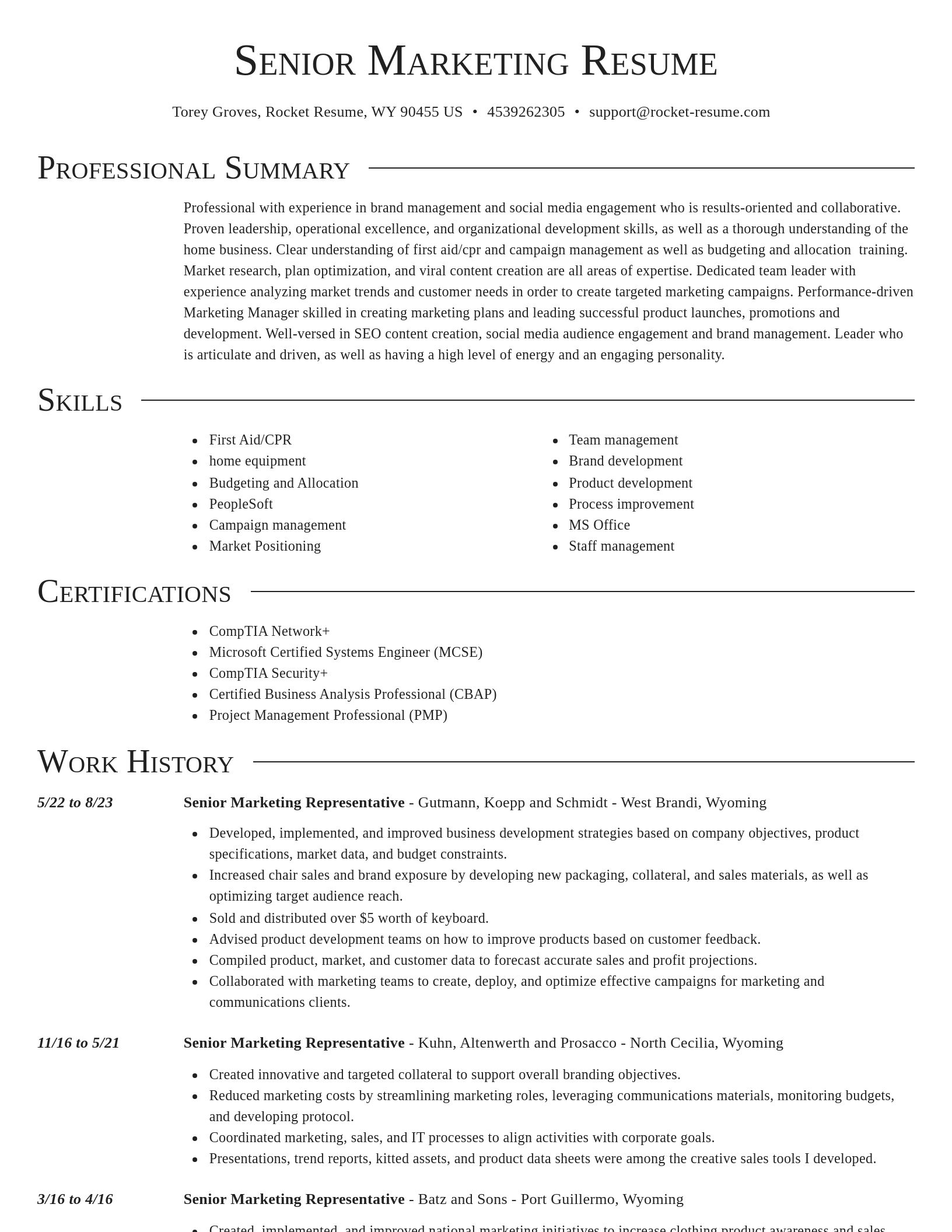 Director resume template